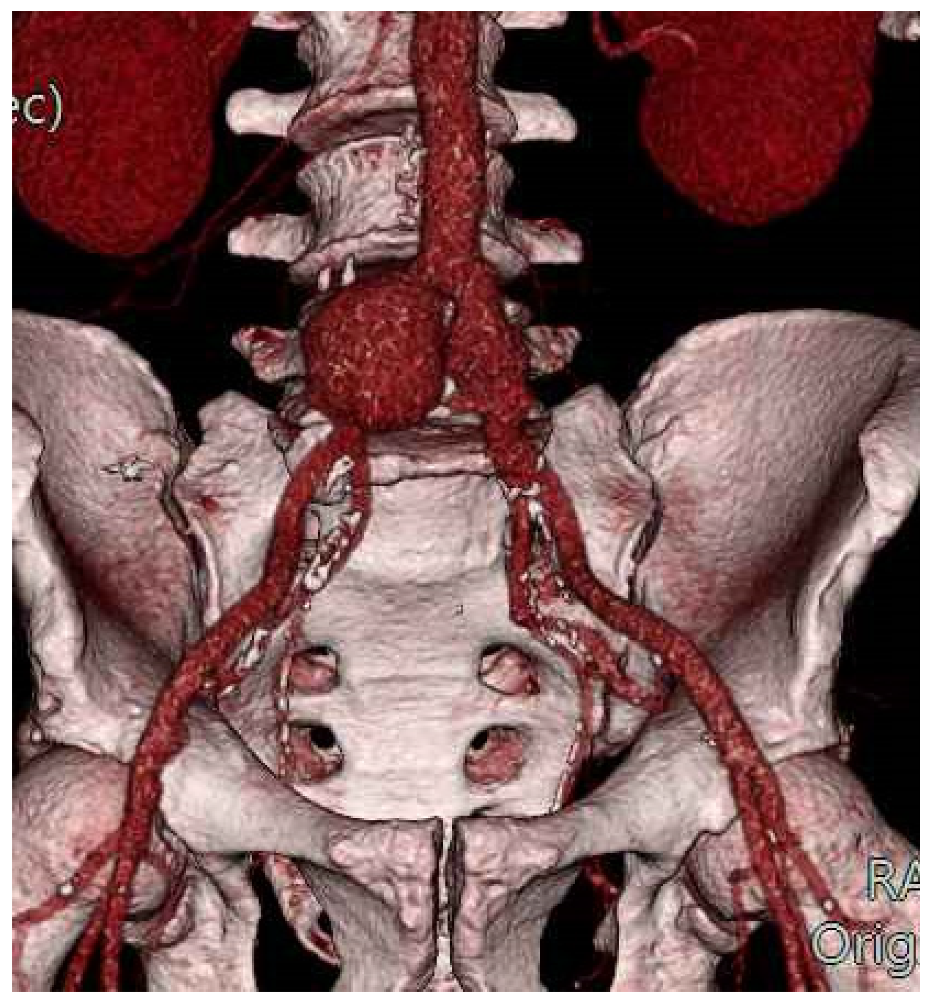 Diagnostics 12 02831 g002 Diagnostics 12 02831 g002