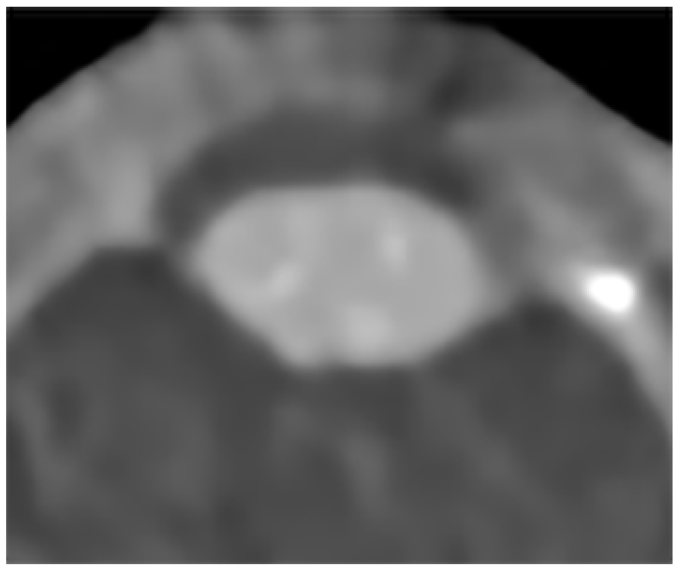 Diagnostics 12 02857 g002