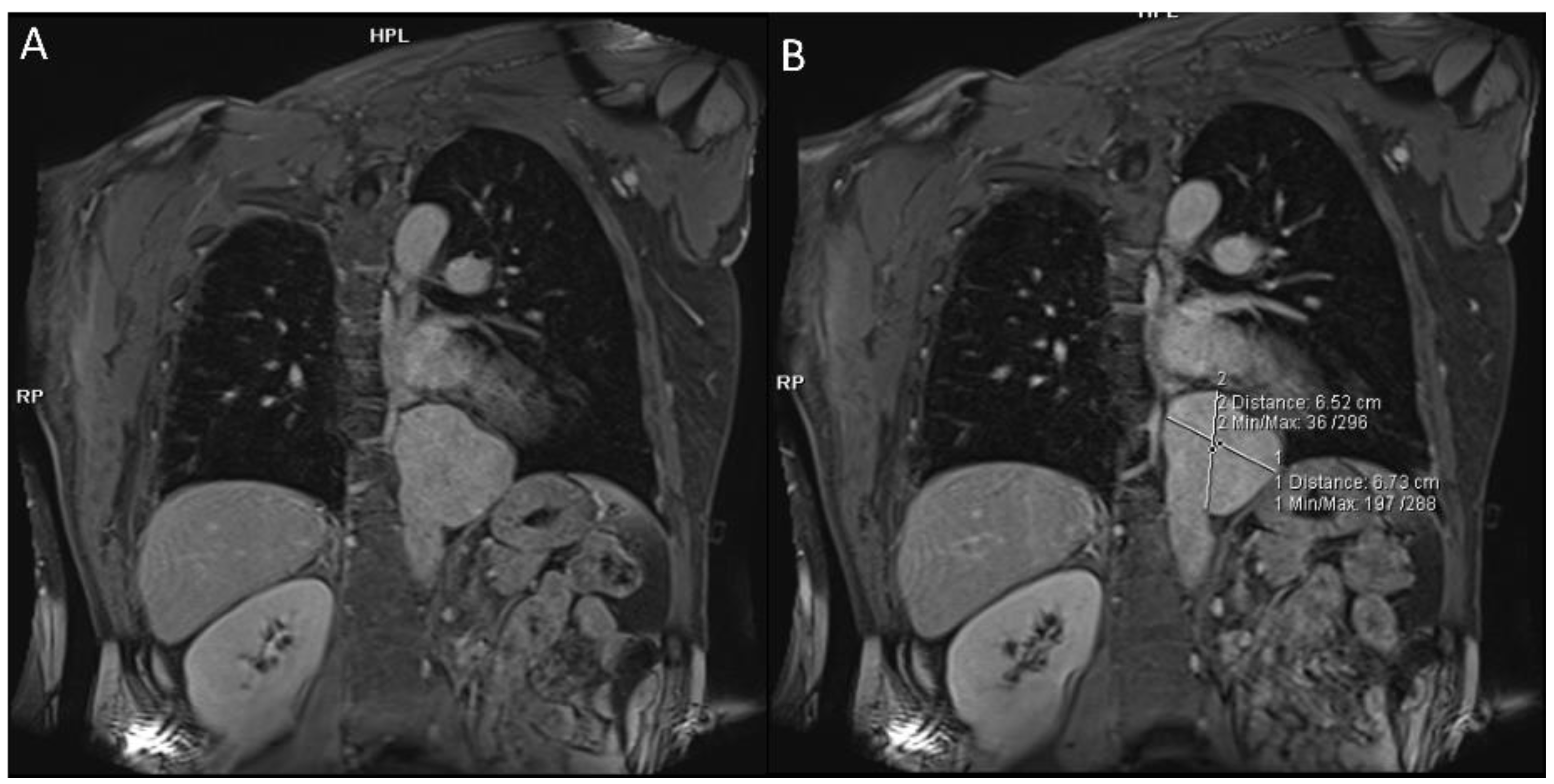 Diagnostics 12 02868 g001