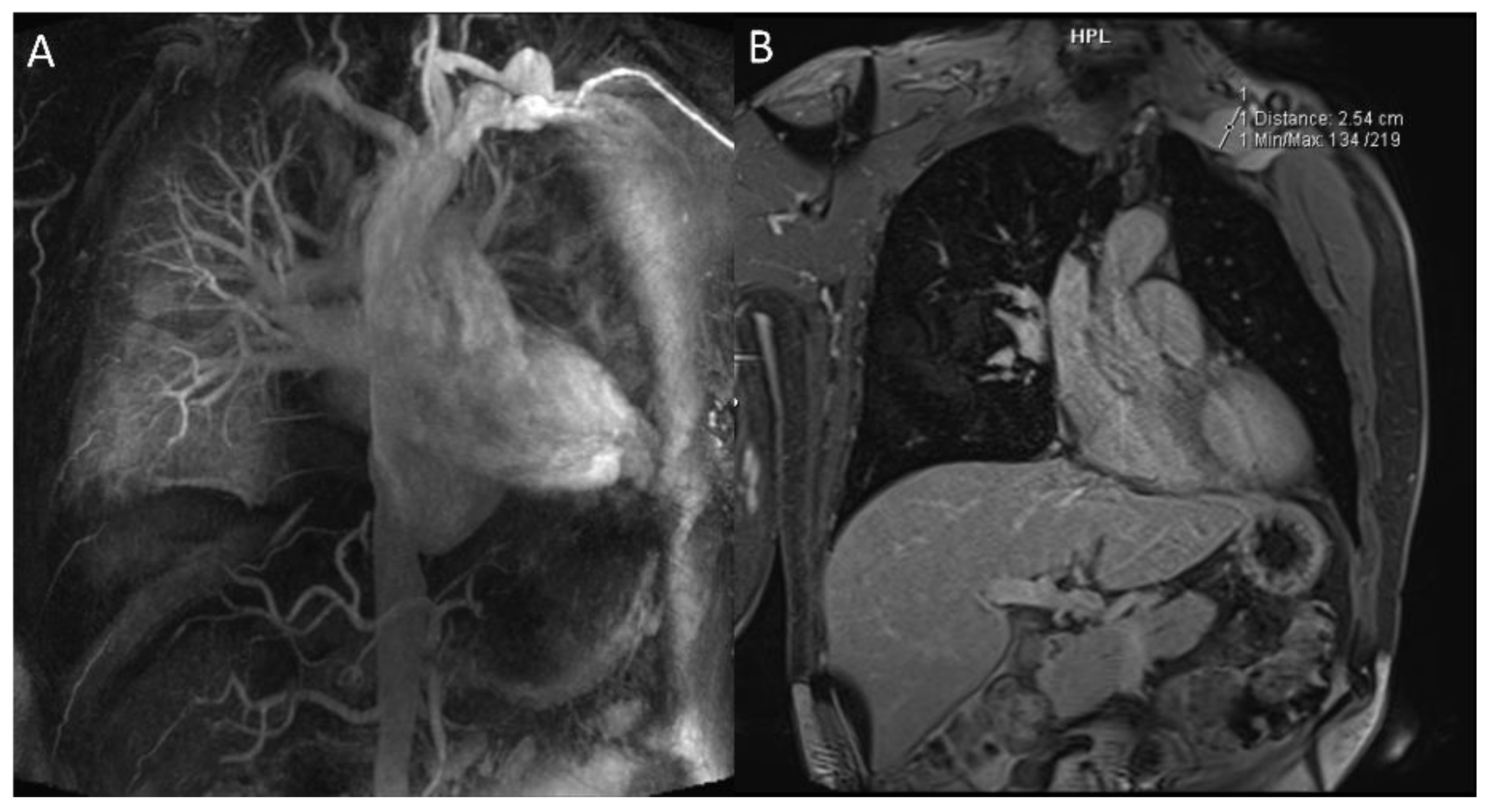 Diagnostics 12 02868 g002