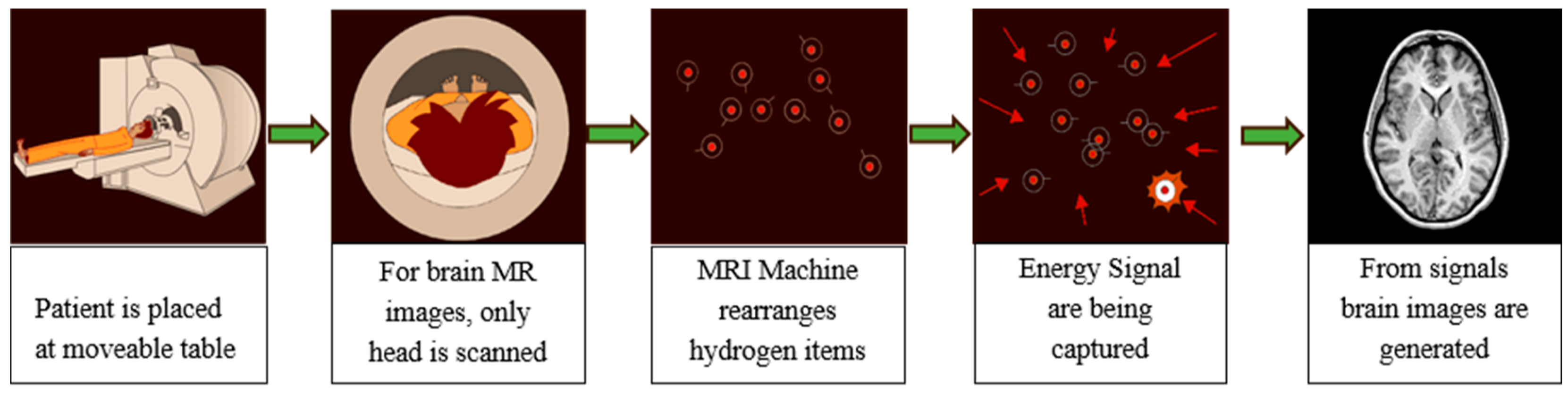 Diagnostics 12 02888 g002