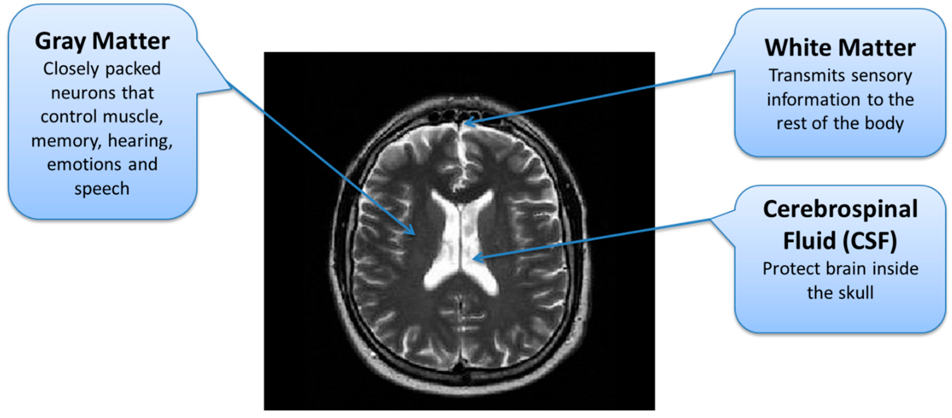 Diagnostics 12 02888 g004