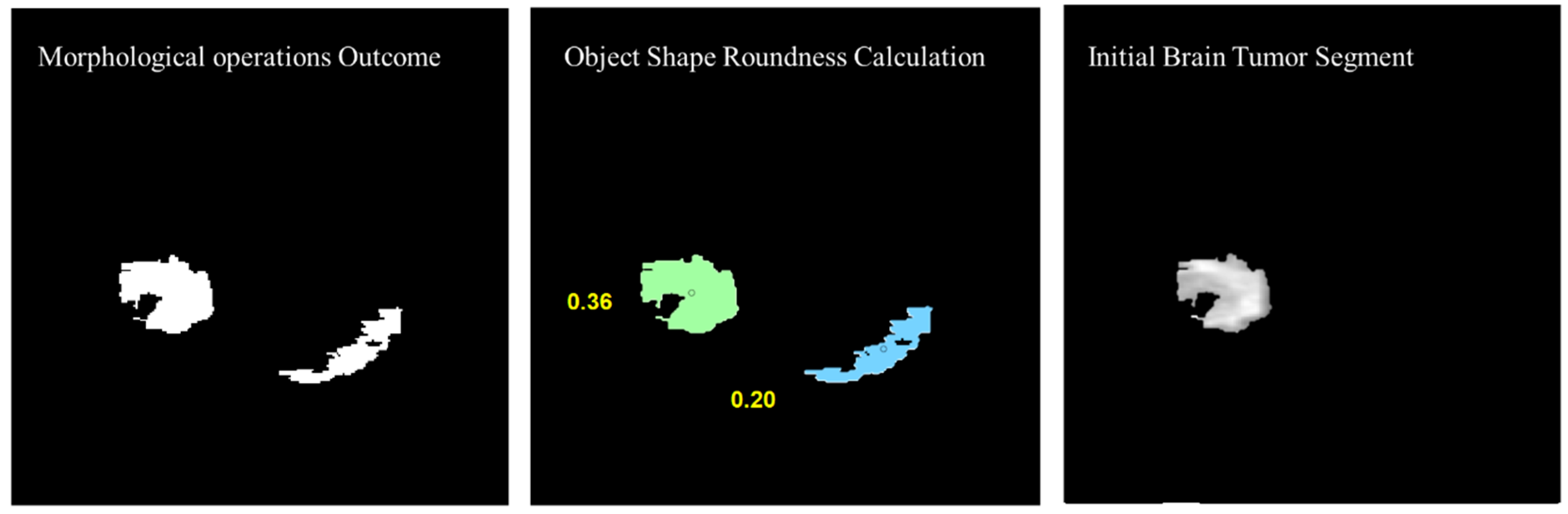 Diagnostics 12 02888 g013