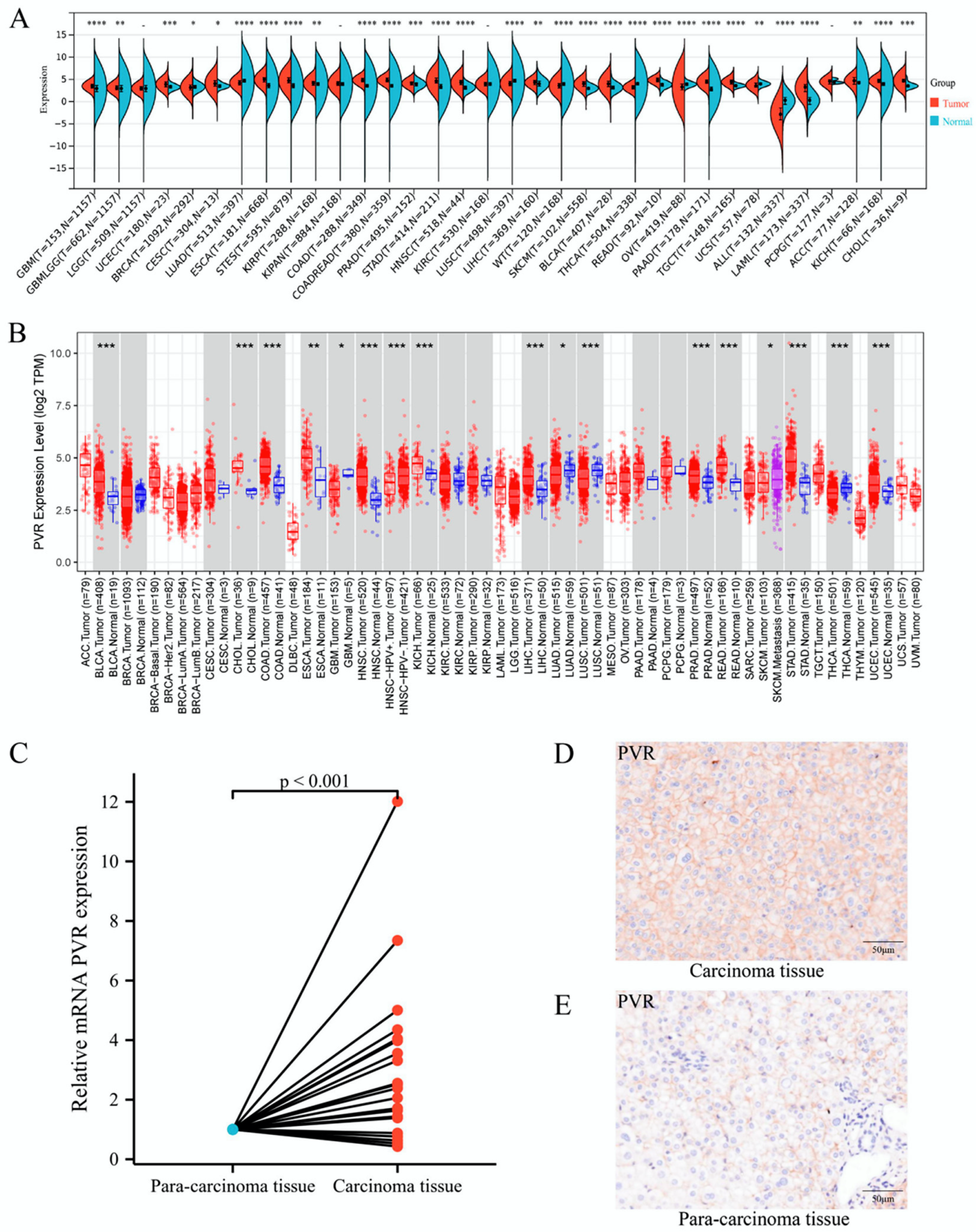 Diagnostics 12 02953 g001 Diagnostics 12 02953 g001