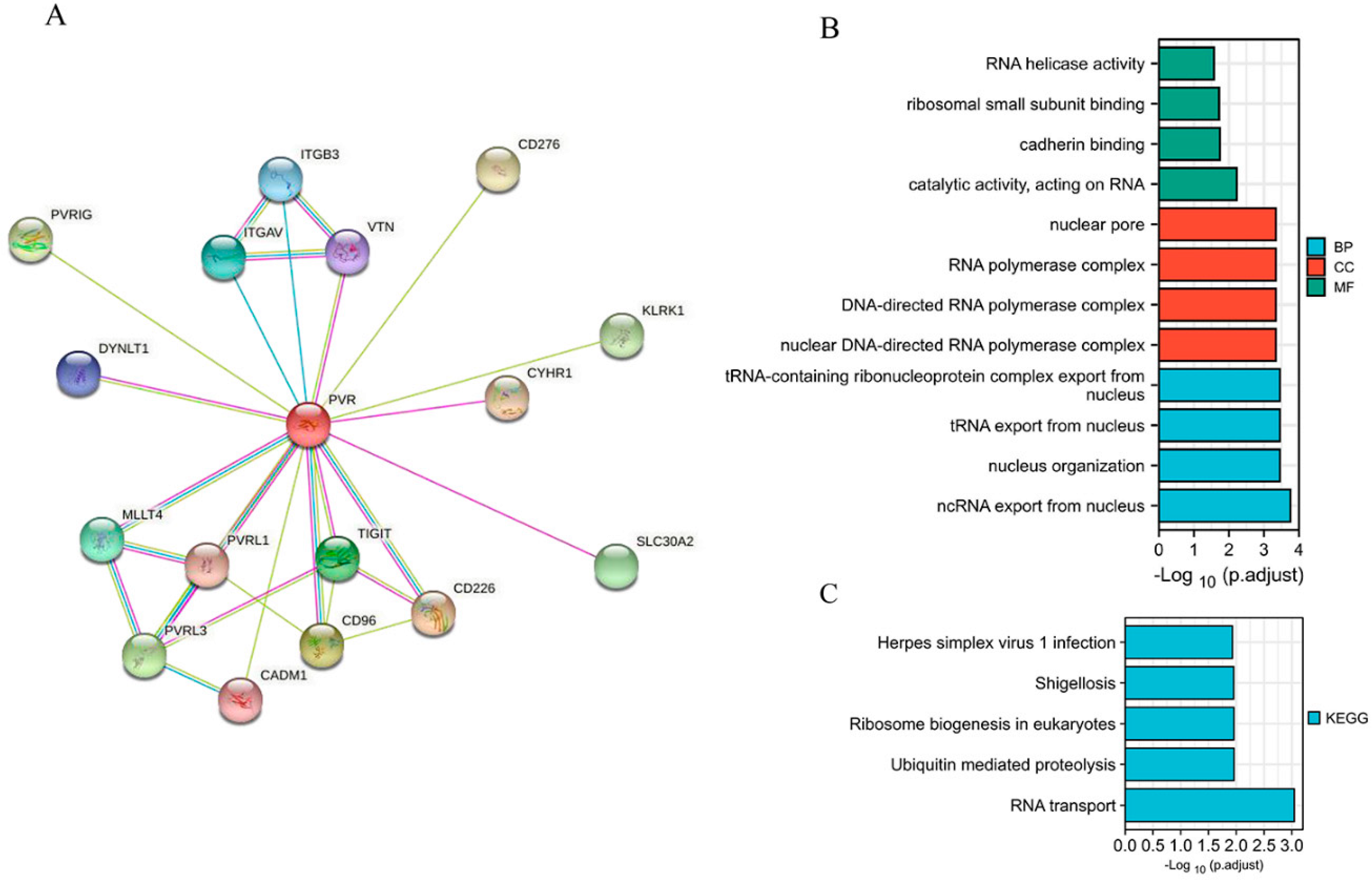Diagnostics 12 02953 g004 Diagnostics 12 02953 g004