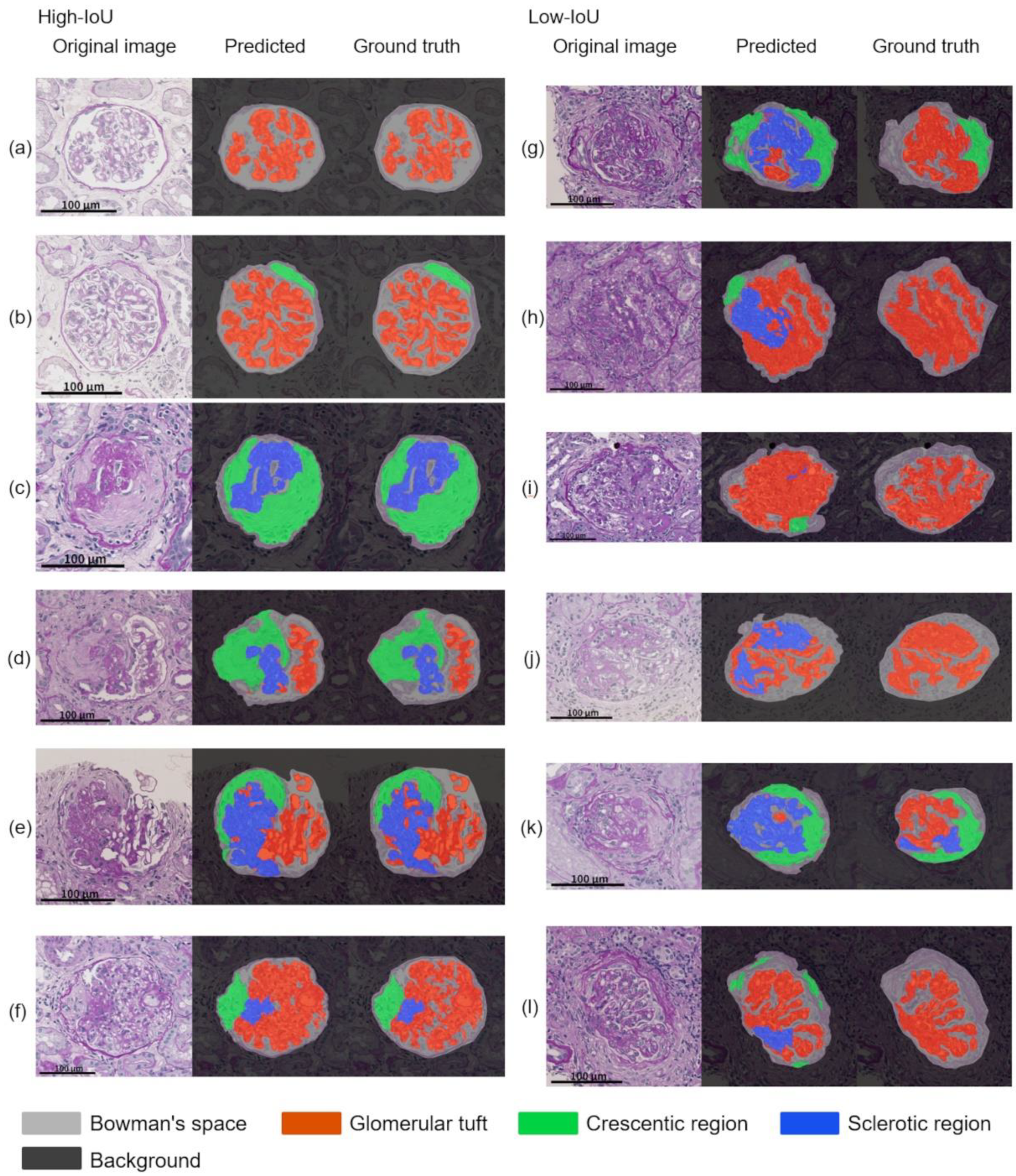 Diagnostics 12 02955 g004 Diagnostics 12 02955 g004