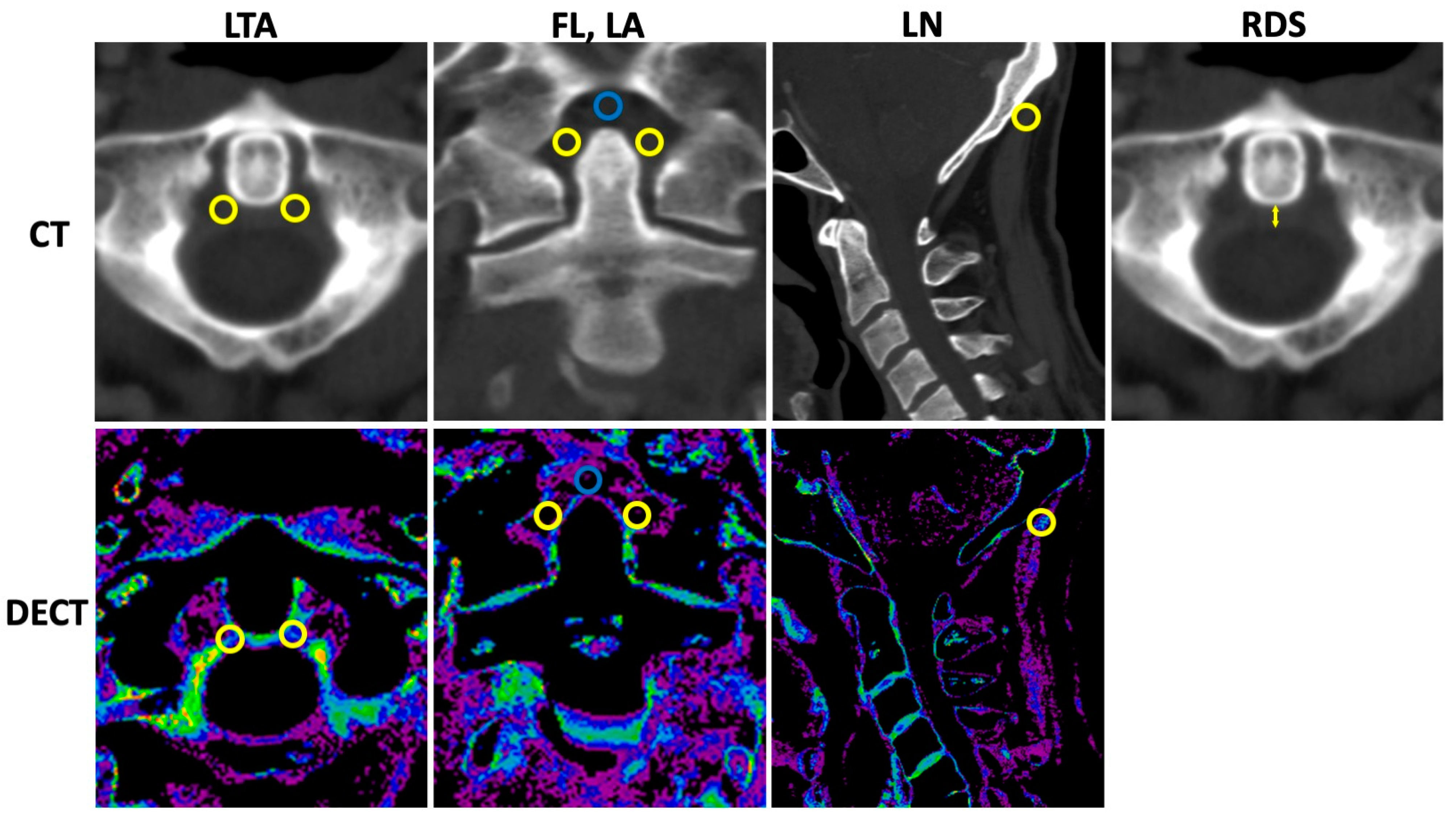 Diagnostics 12 02966 g001 Diagnostics 12 02966 g001