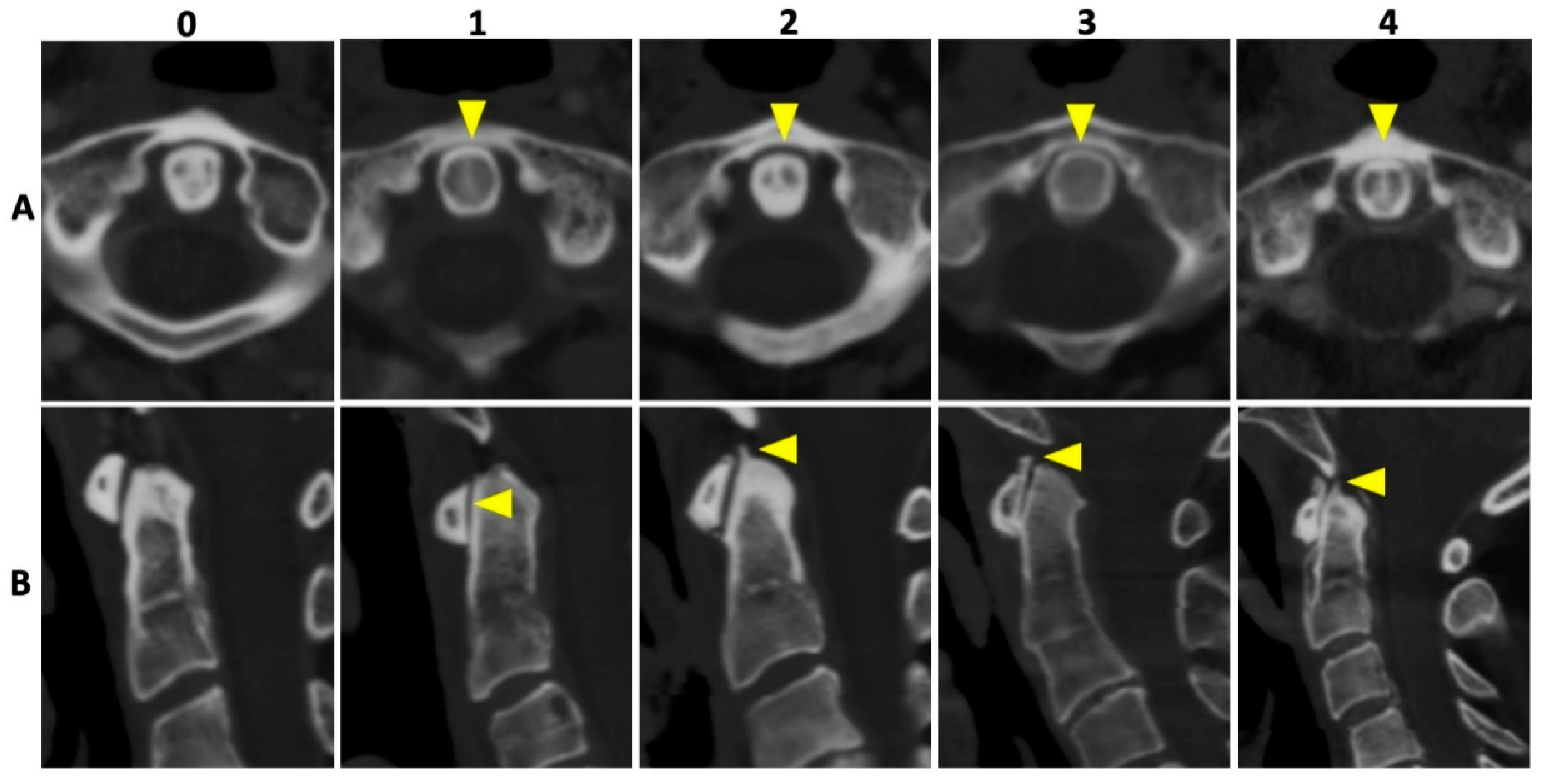 Diagnostics 12 02966 g002 Diagnostics 12 02966 g002