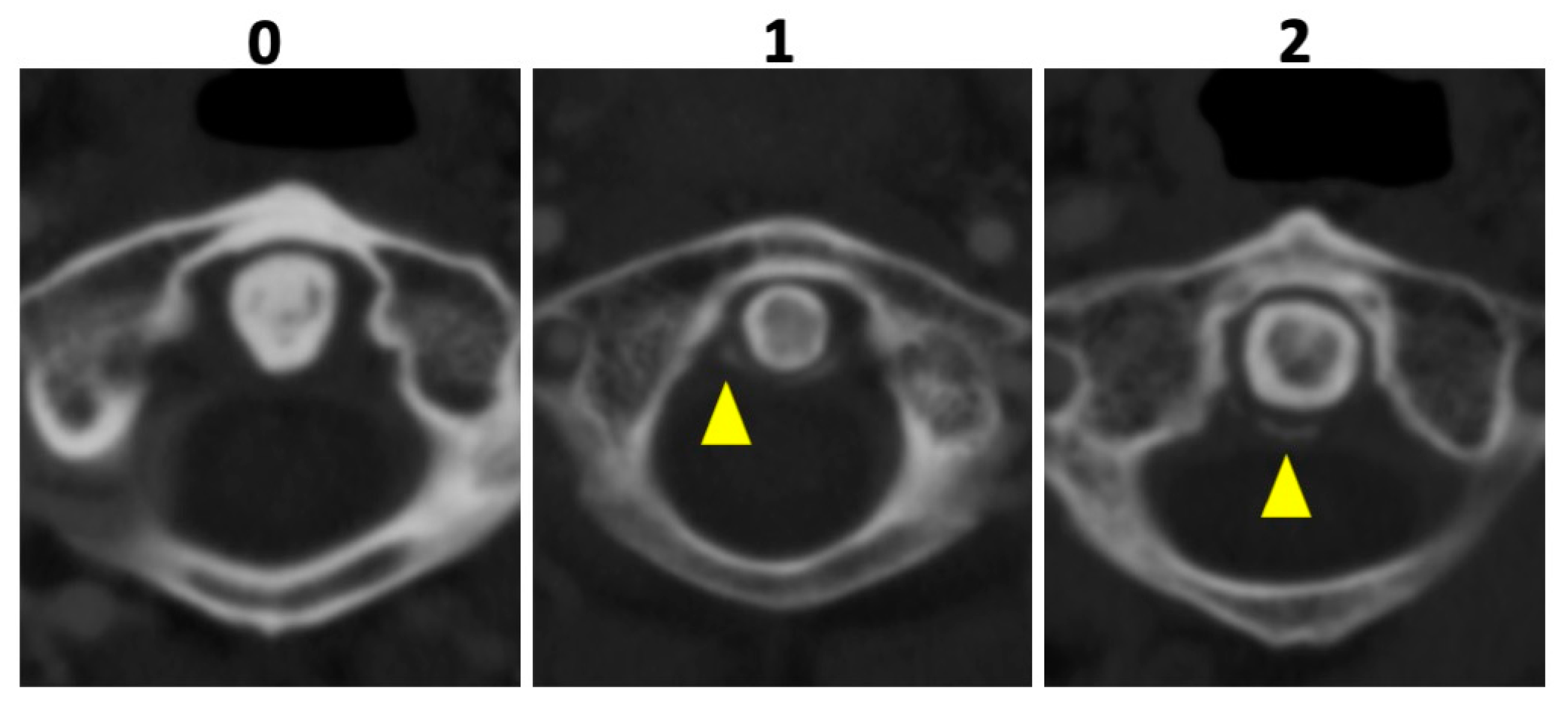 Diagnostics 12 02966 g003 Diagnostics 12 02966 g003