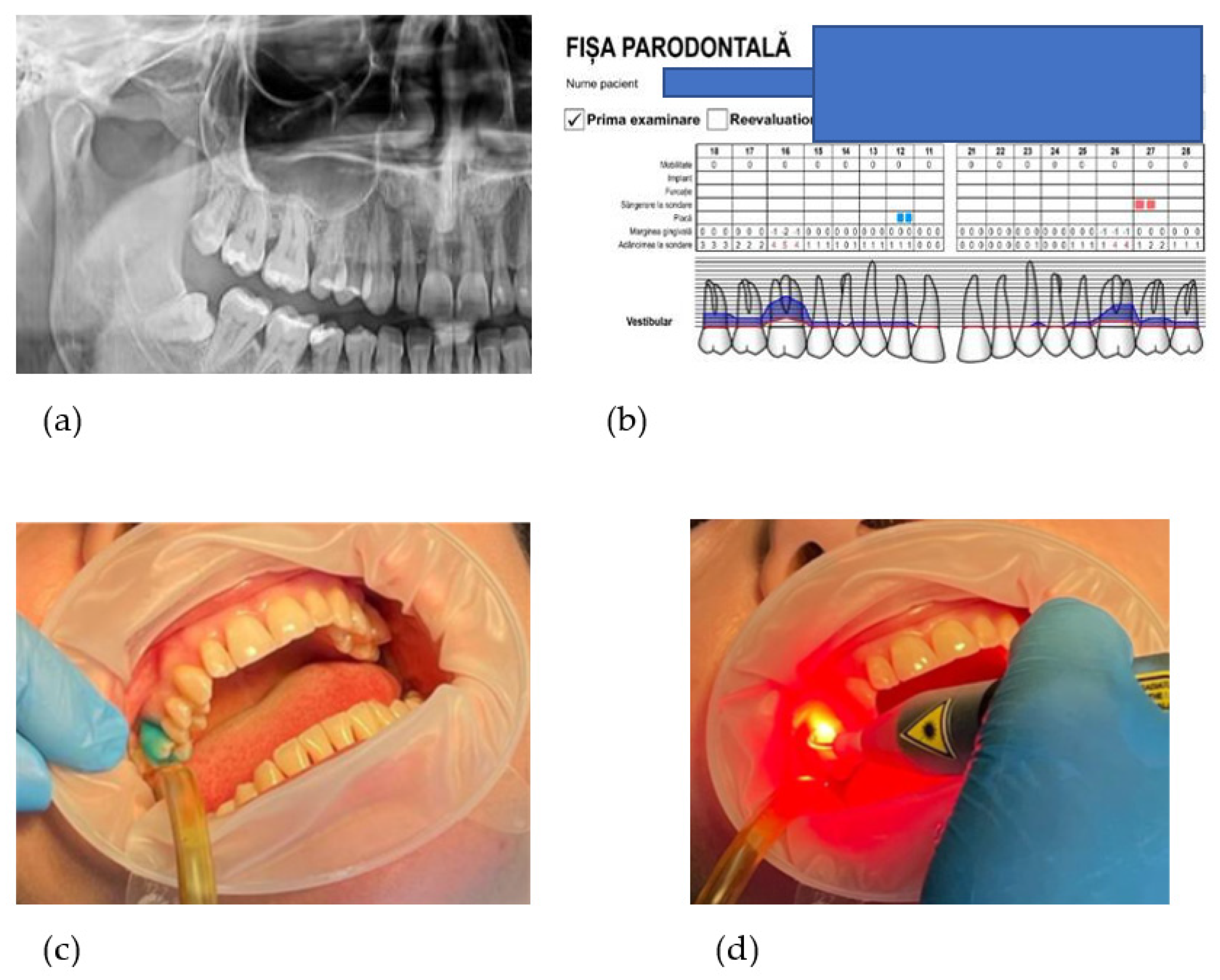 Diagnostics 12 03026 g002