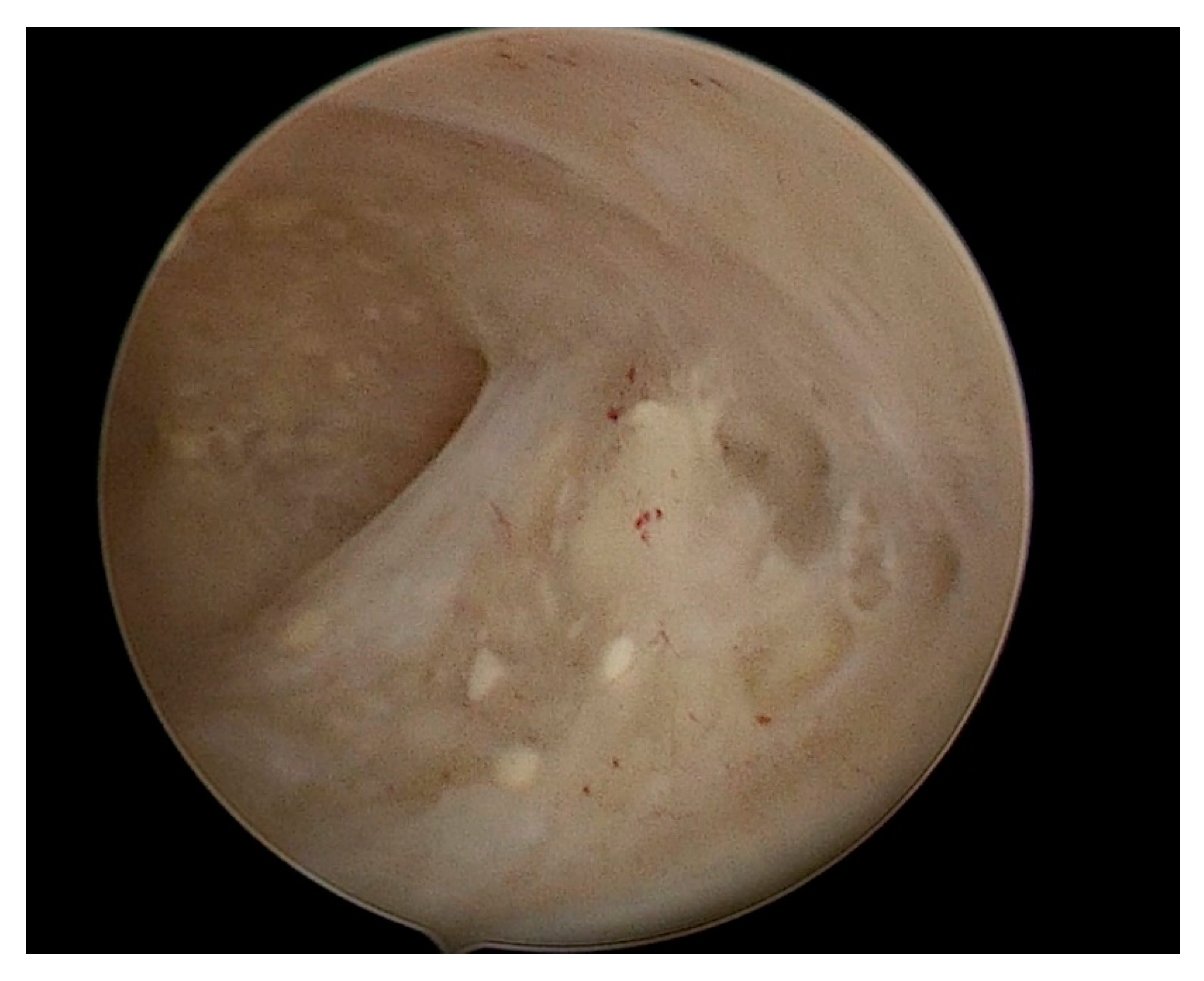 Diagnostics 12 03029 g003