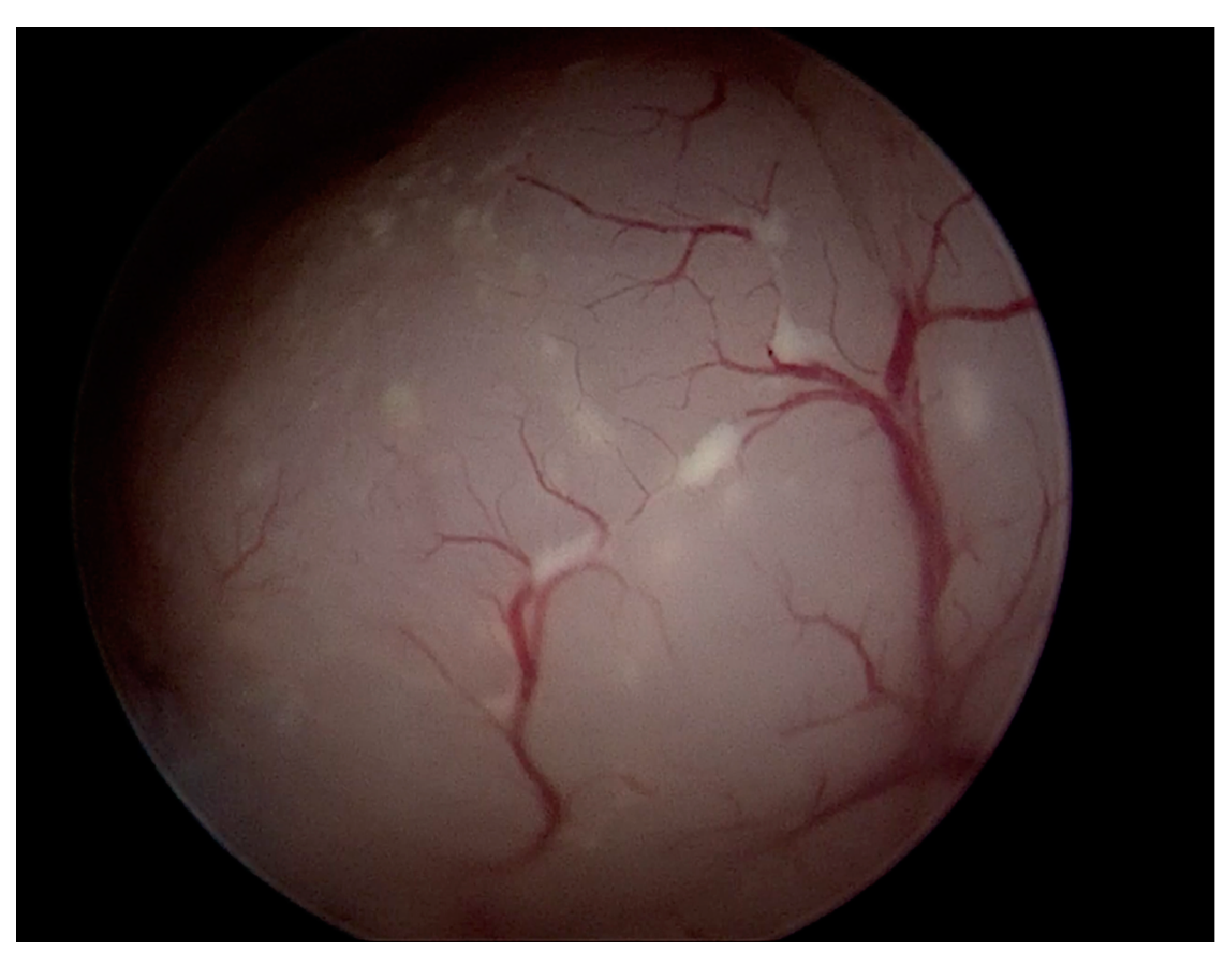 Diagnostics 12 03029 g004