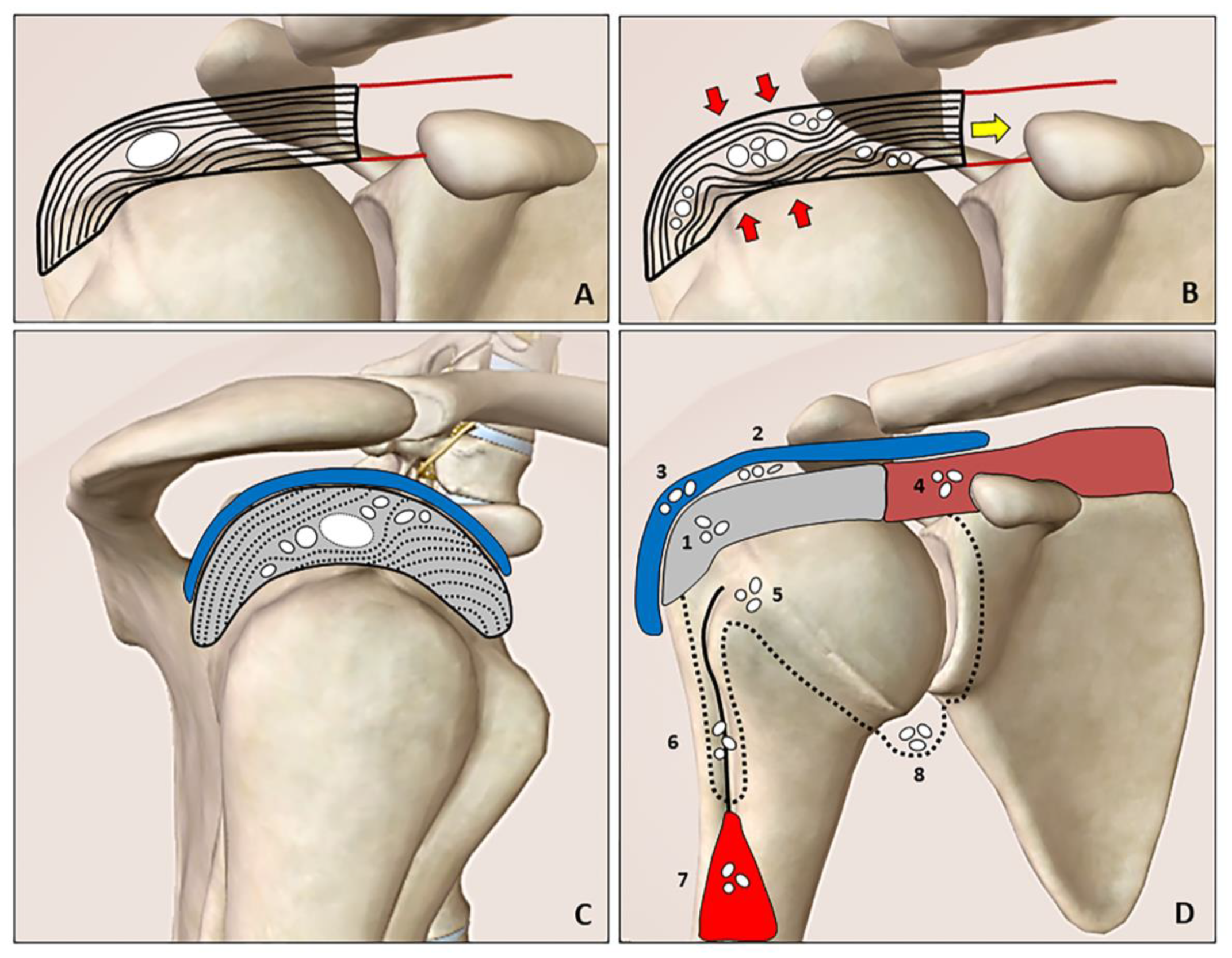 Diagnostics 12 03097 g001