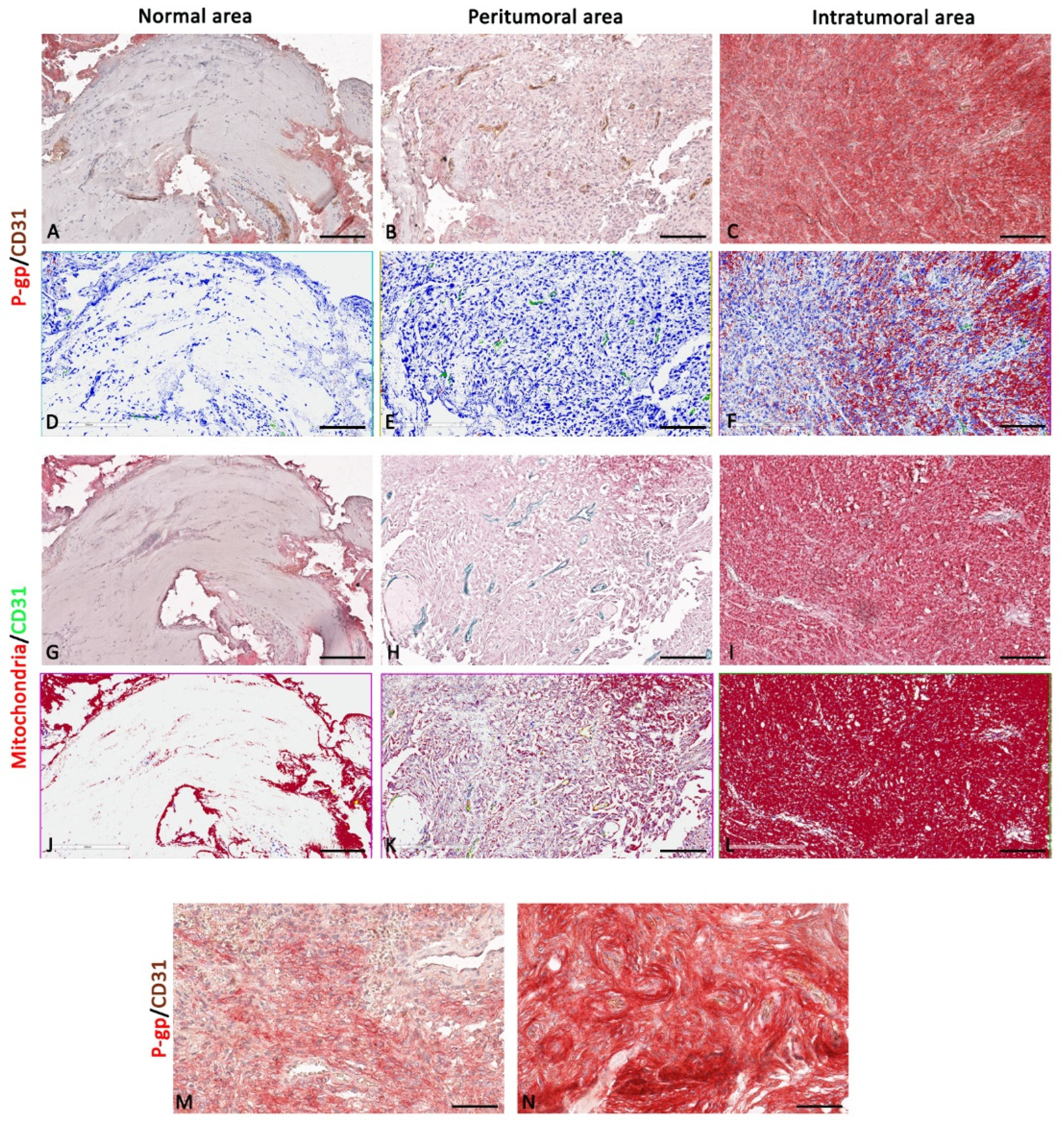 Diagnostics 12 03120 g002