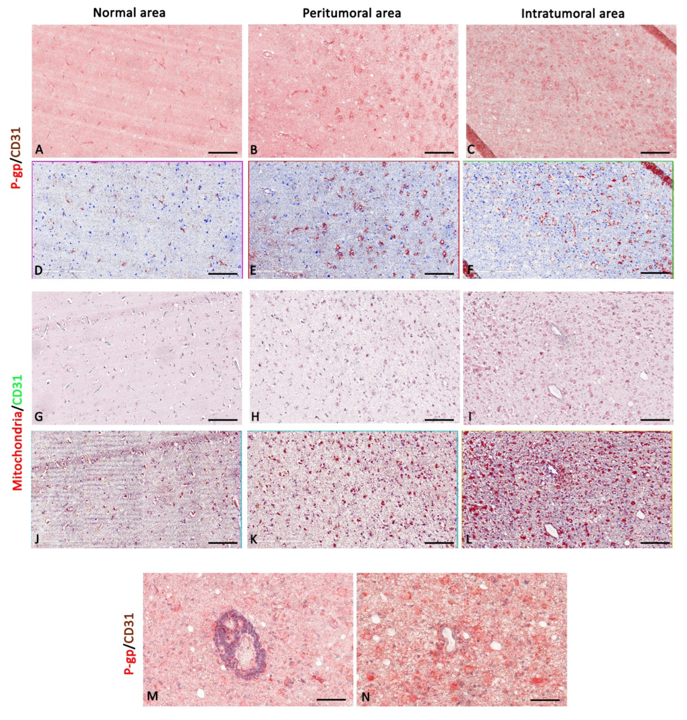 Diagnostics 12 03120 g005