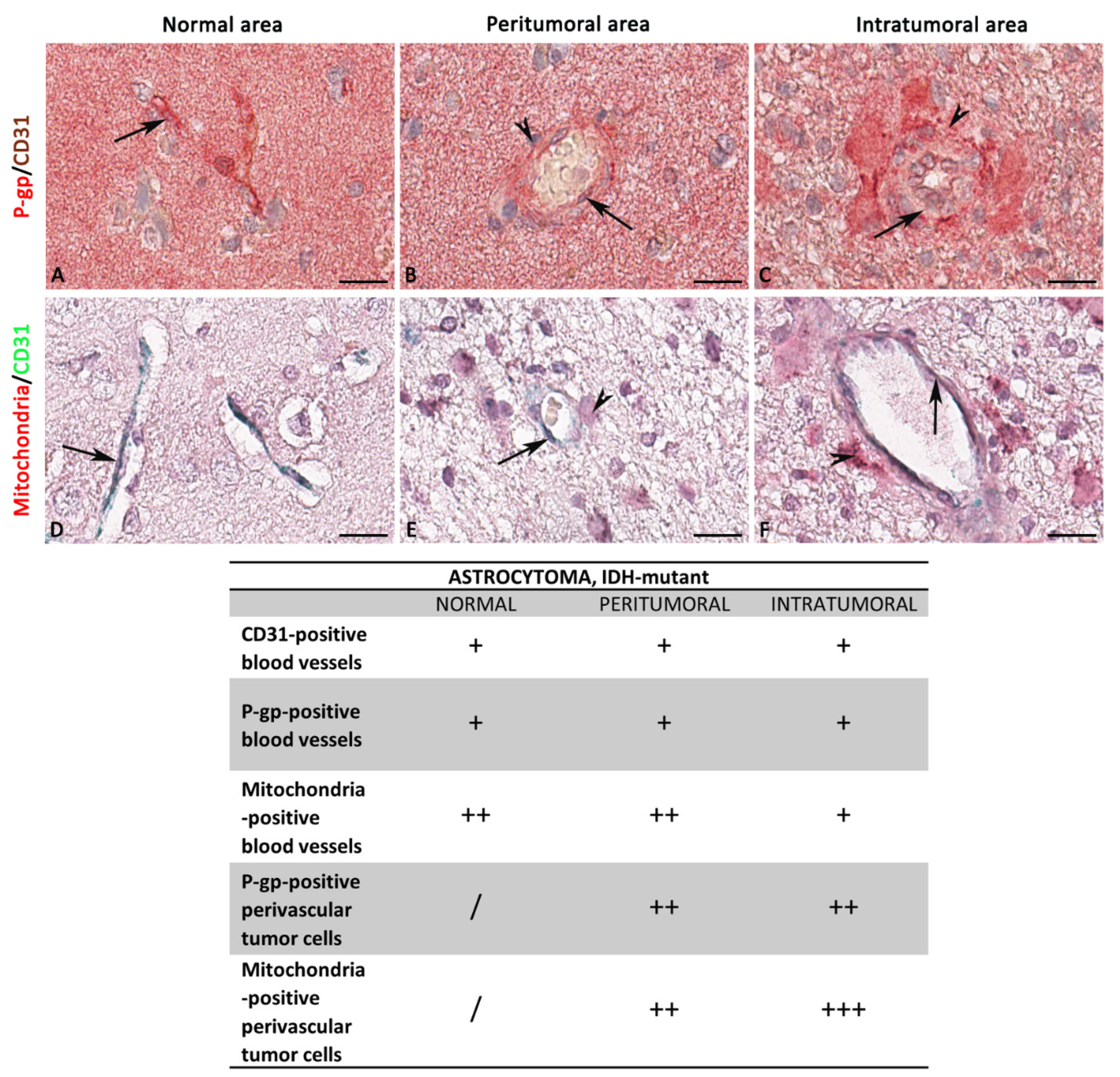 Diagnostics 12 03120 g006