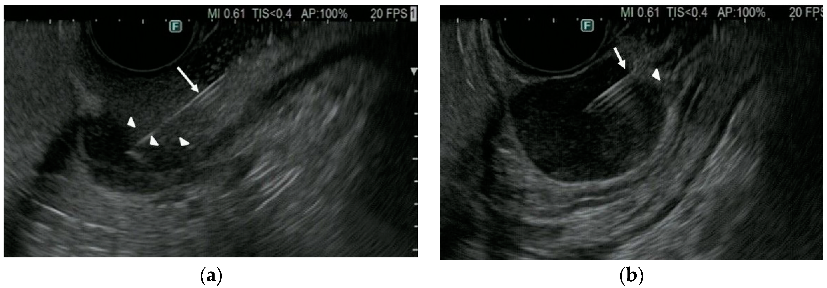 Diagnostics 12 03122 g003