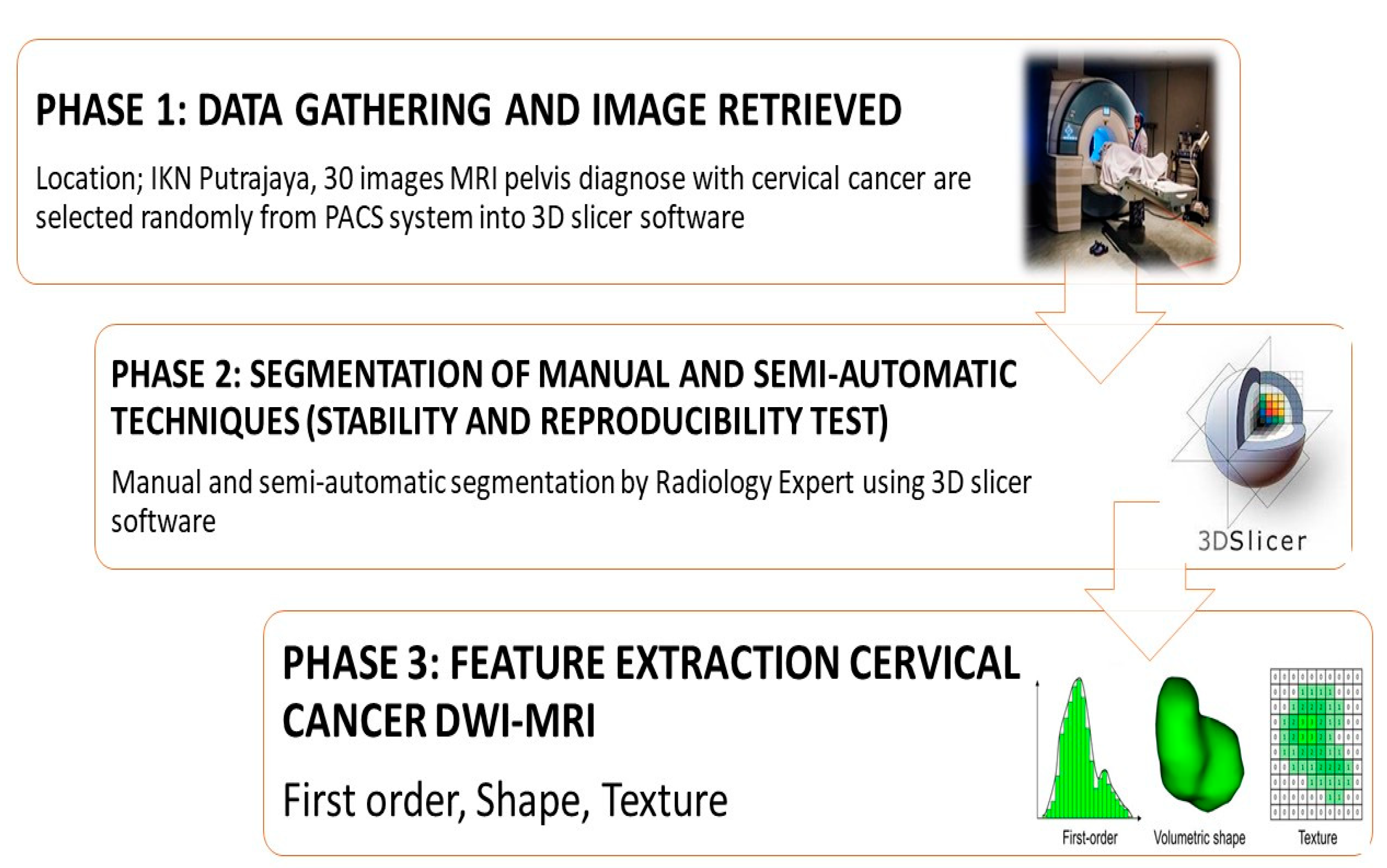 Diagnostics 12 03125 g001