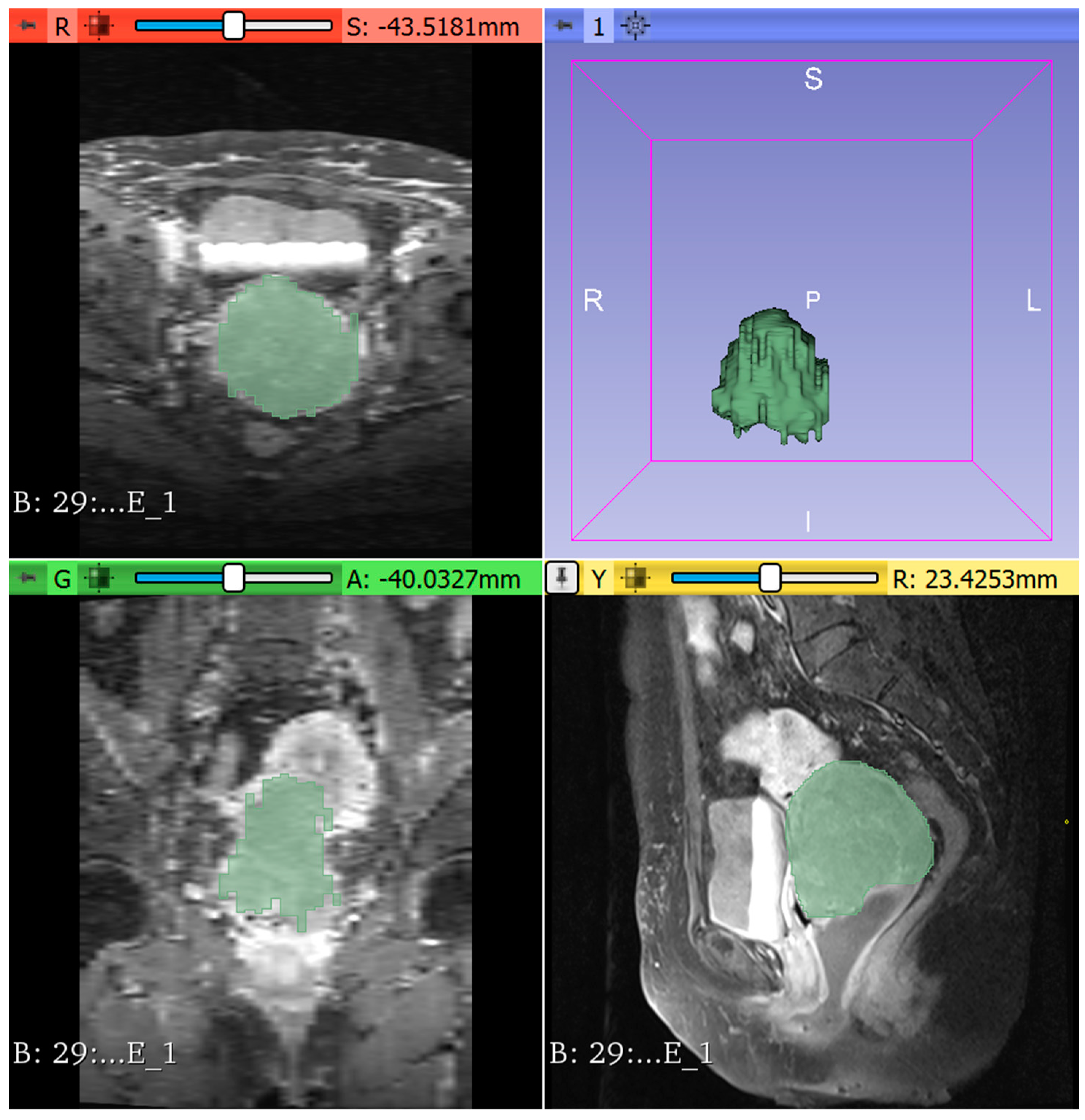 Diagnostics 12 03125 g003