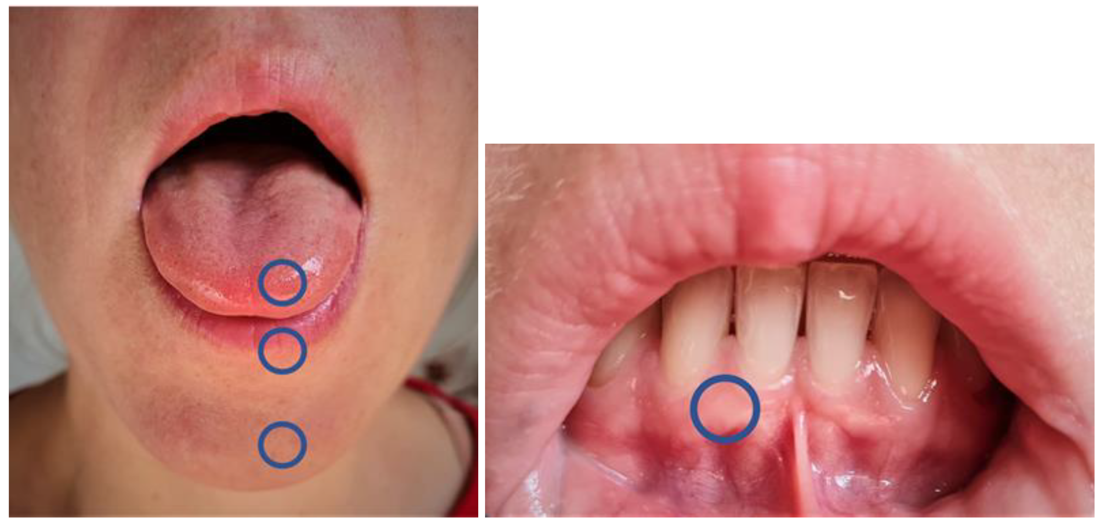 Diagnostics 12 03198 g001