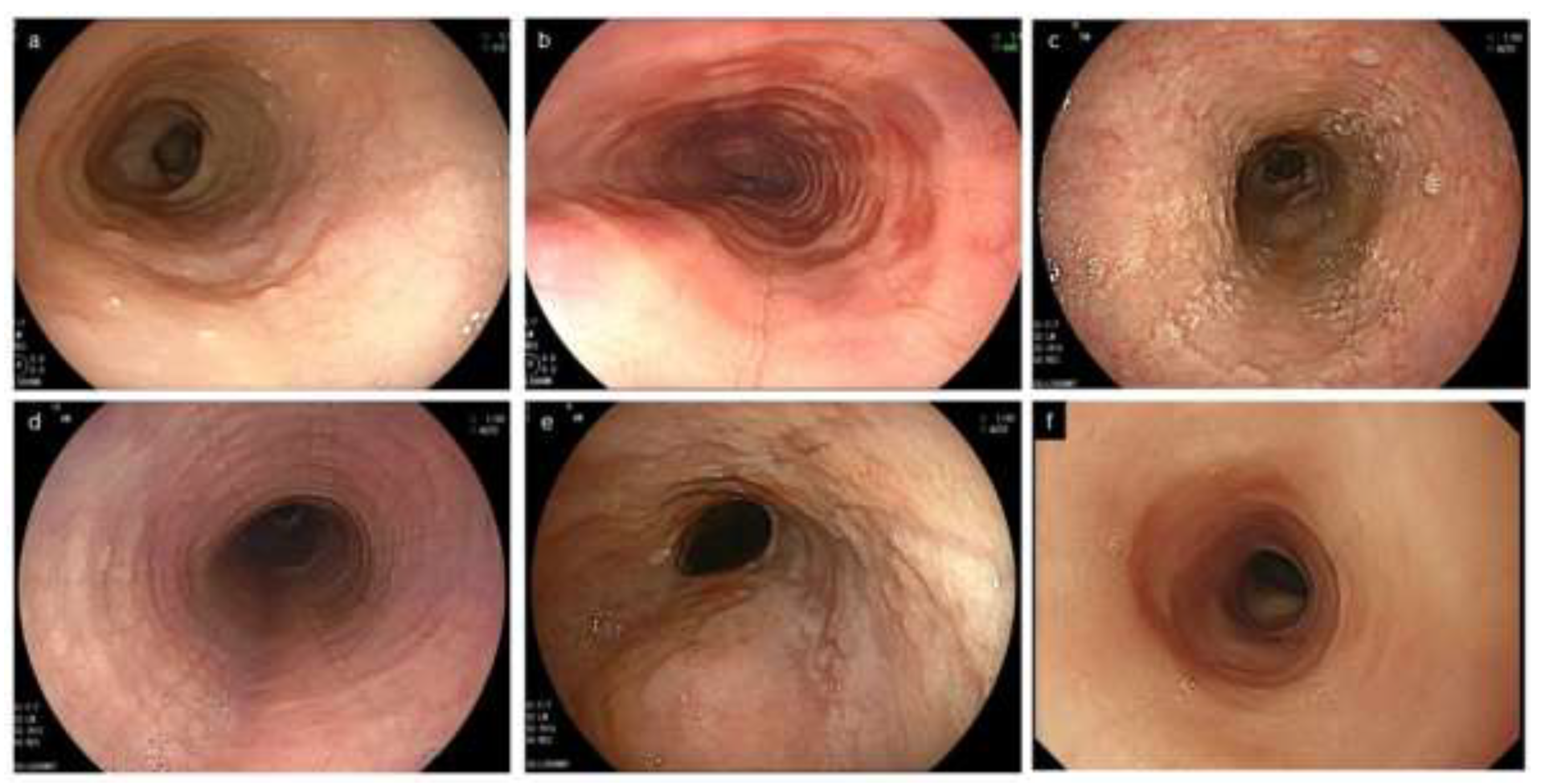 Diagnostics 12 03202 g002