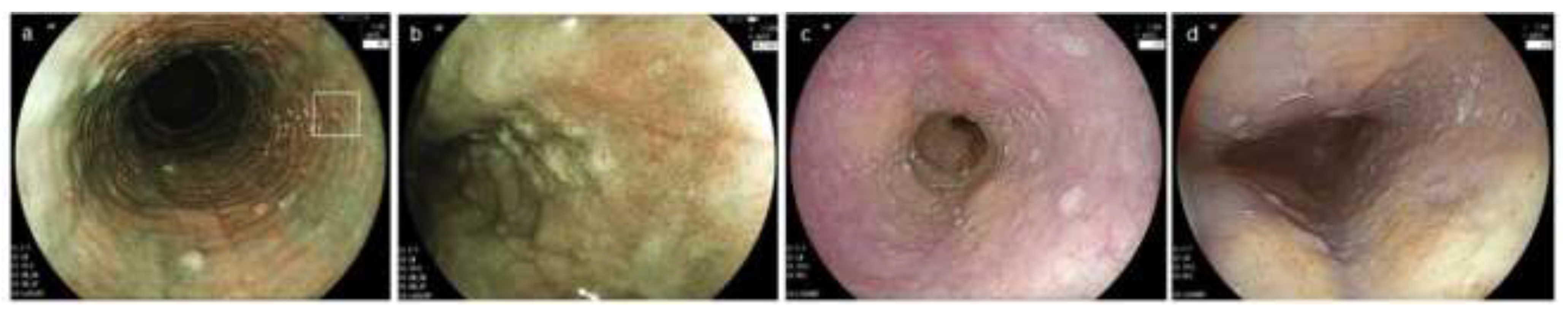 Diagnostics 12 03202 g005