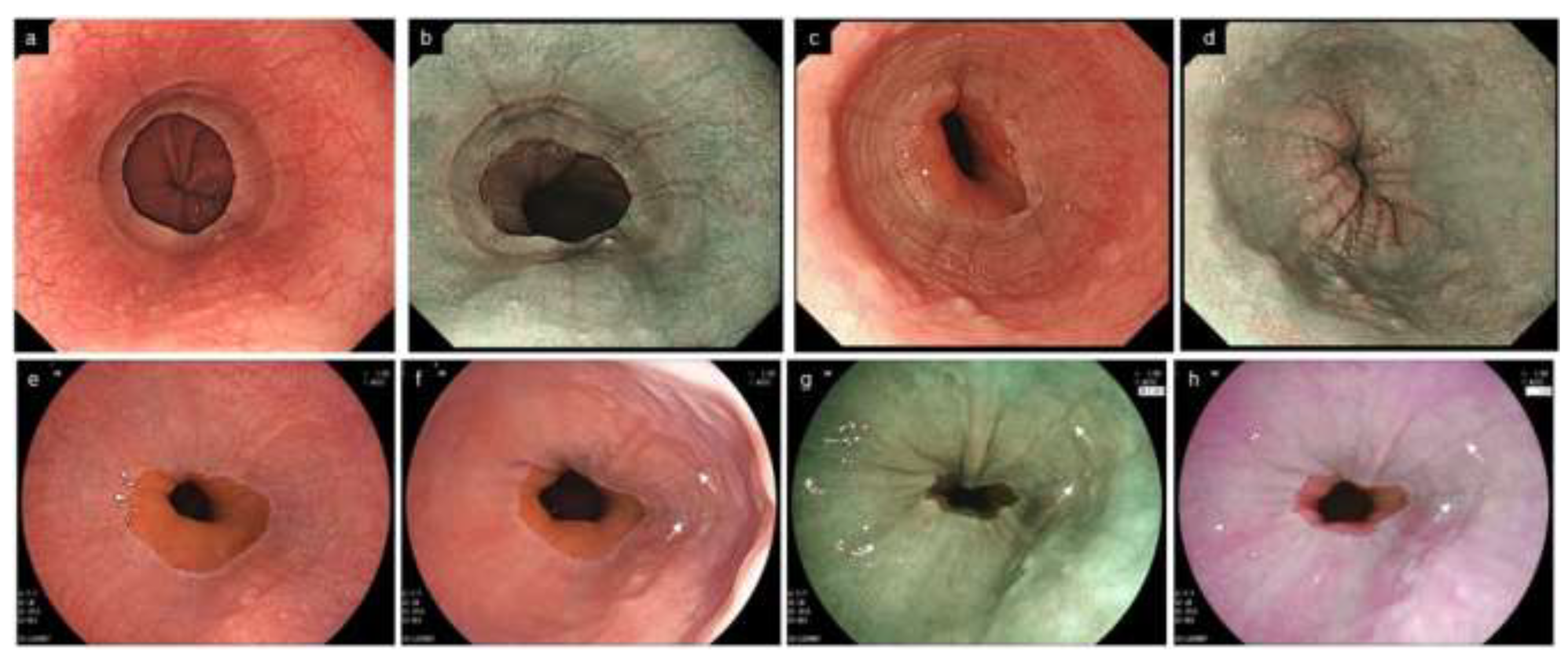 Diagnostics 12 03202 g008