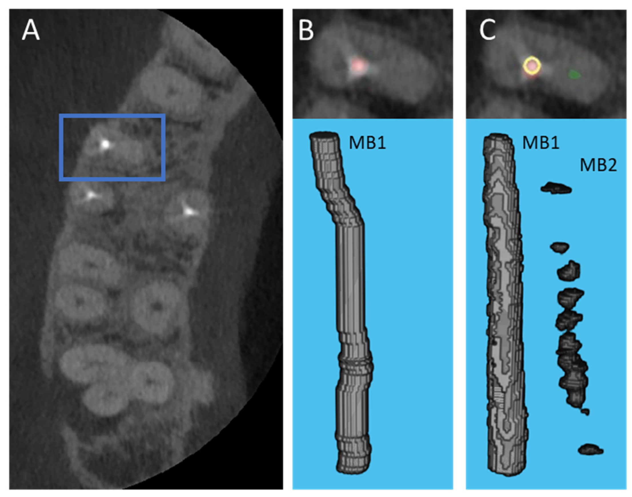Diagnostics 12 03214 g004