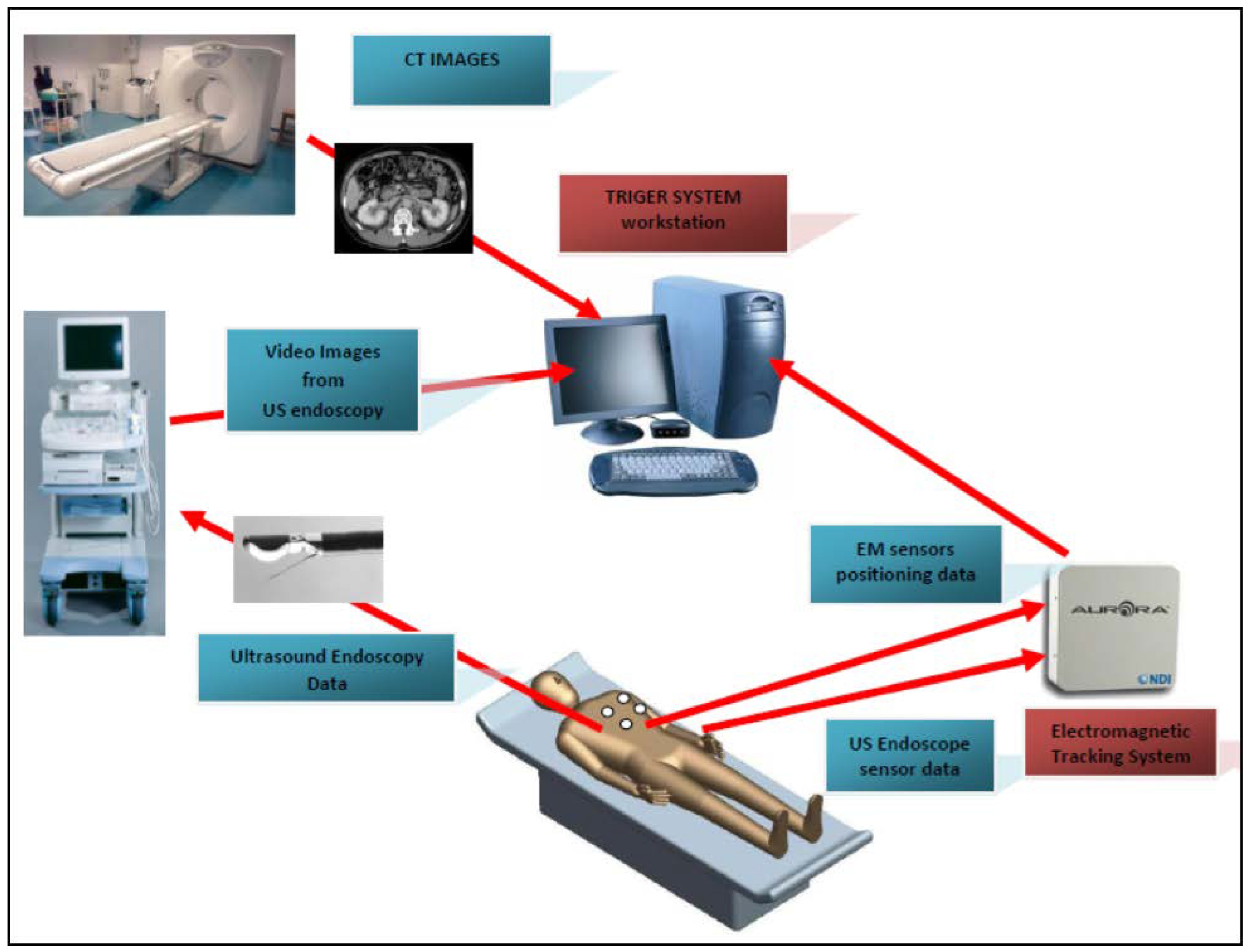 Diagnostics 12 03218 g001 Diagnostics 12 03218 g001