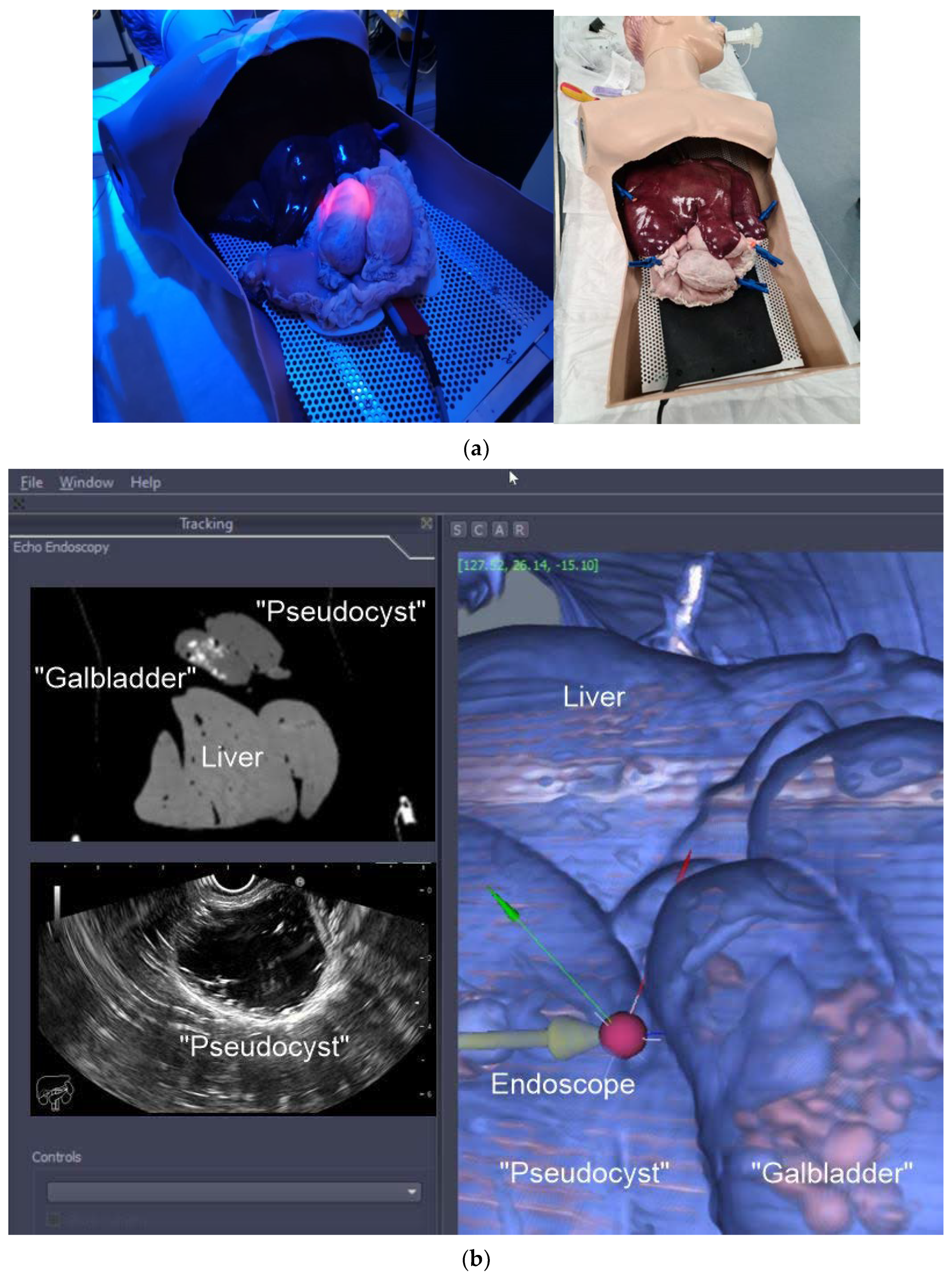 Diagnostics 12 03218 g002 Diagnostics 12 03218 g002