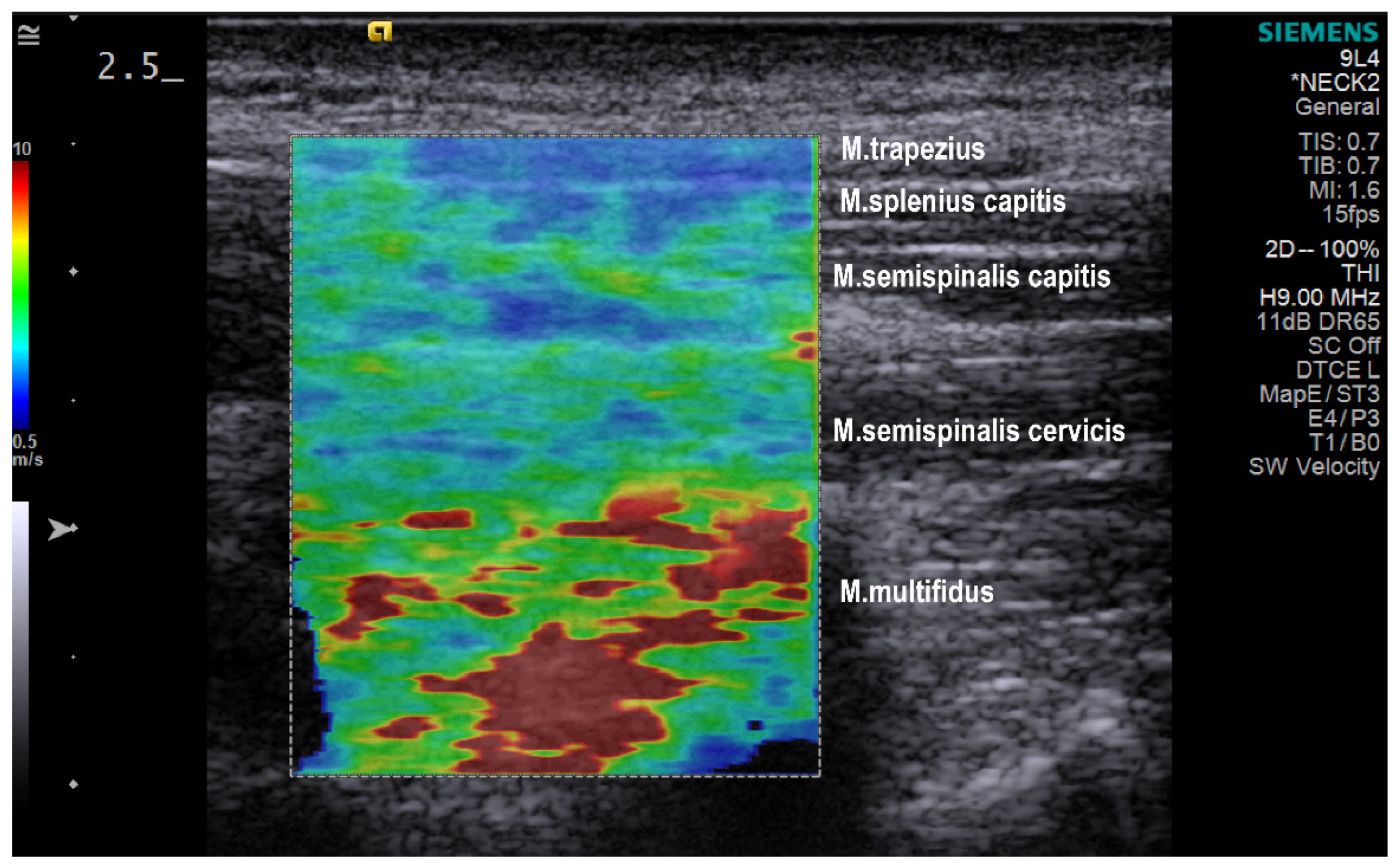 Diagnostics 13 00007 g001