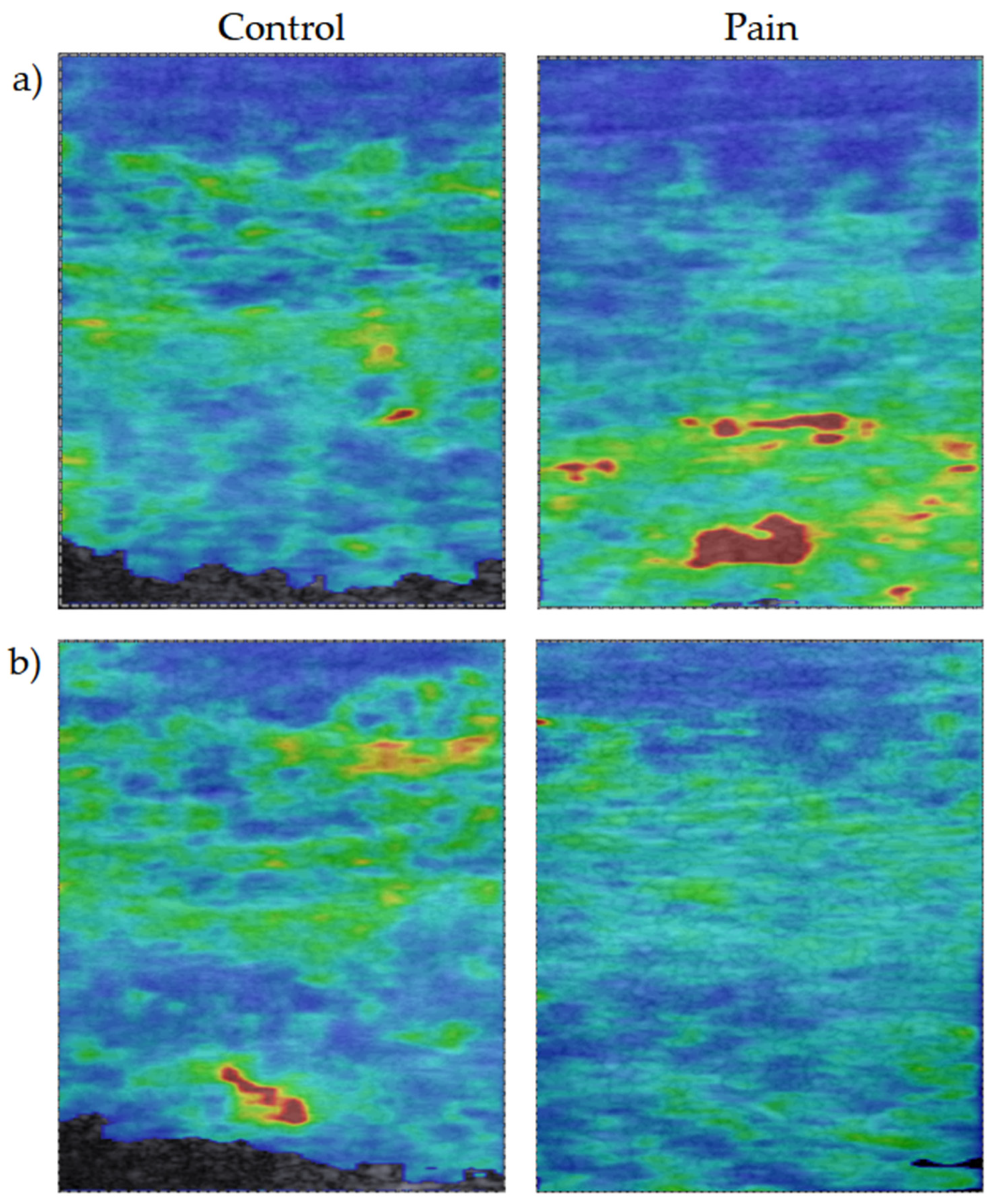 Diagnostics 13 00007 g002