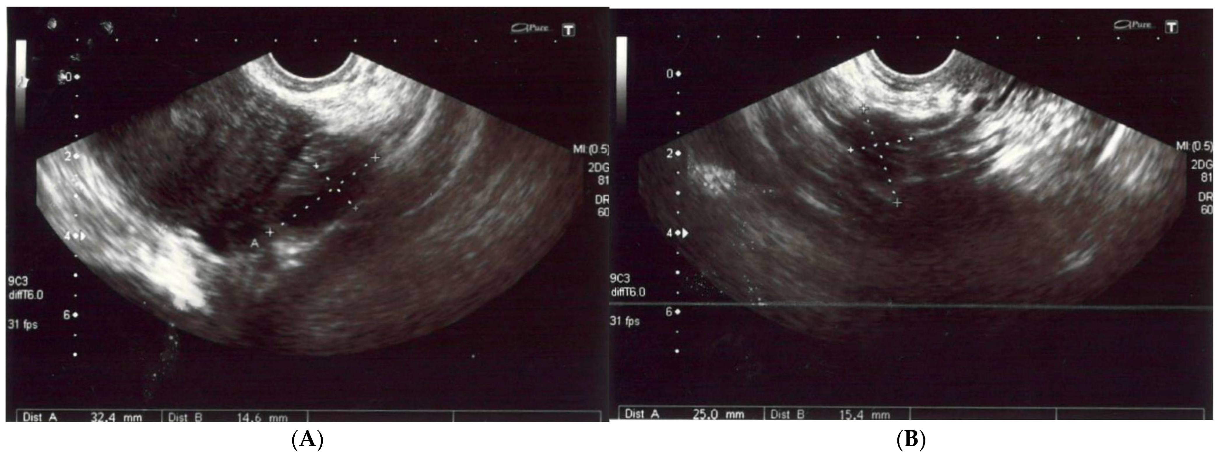 Diagnostics 13 00009 g001a