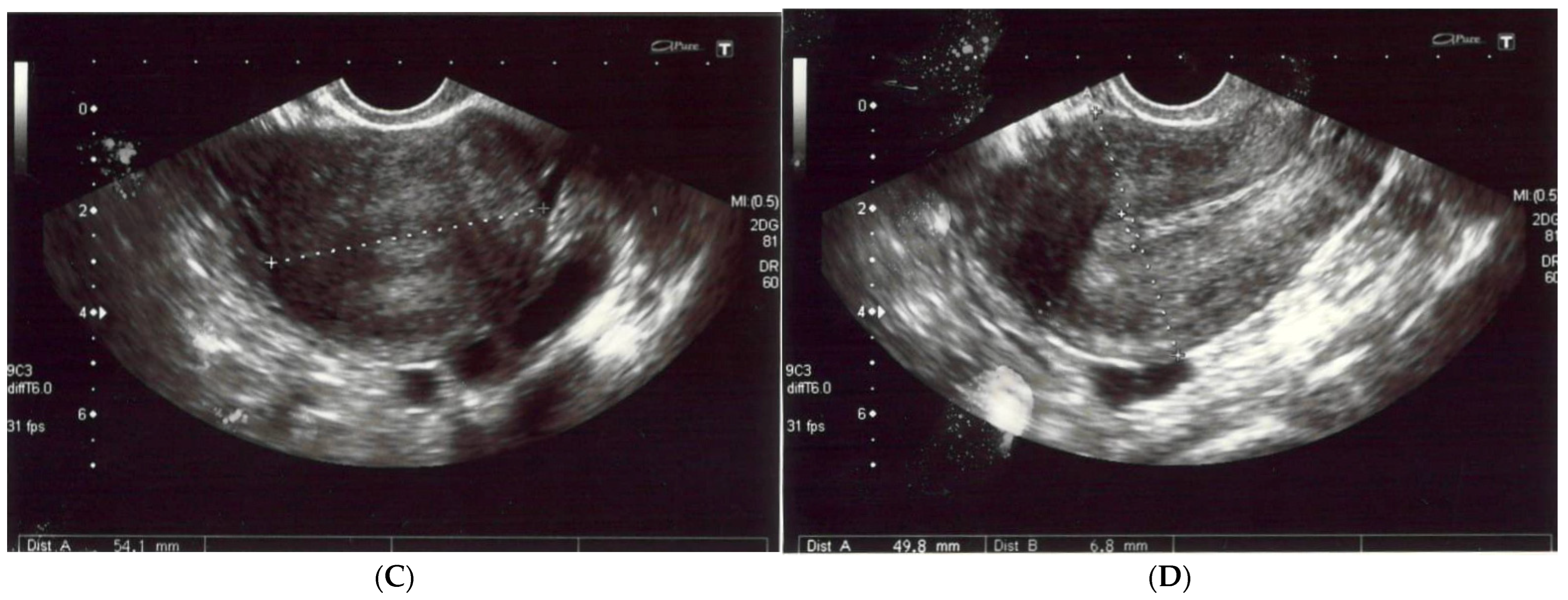 Diagnostics 13 00009 g001b