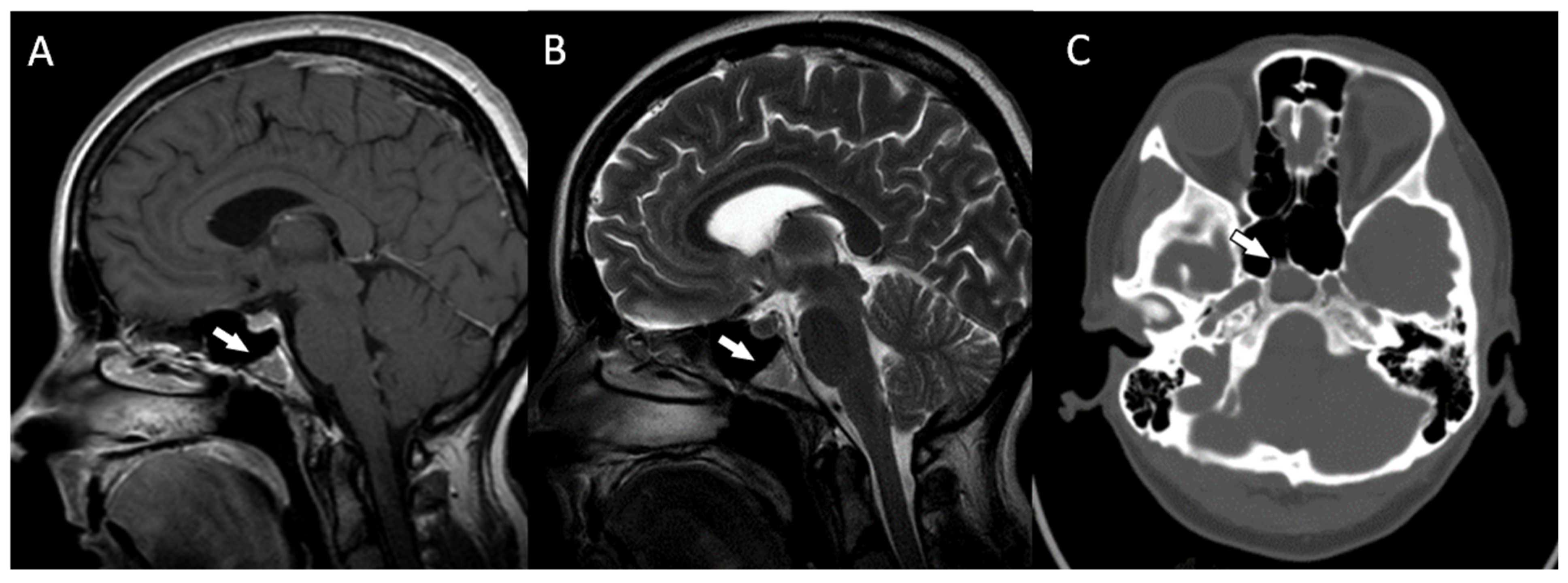 Diagnostics 13 00009 g002