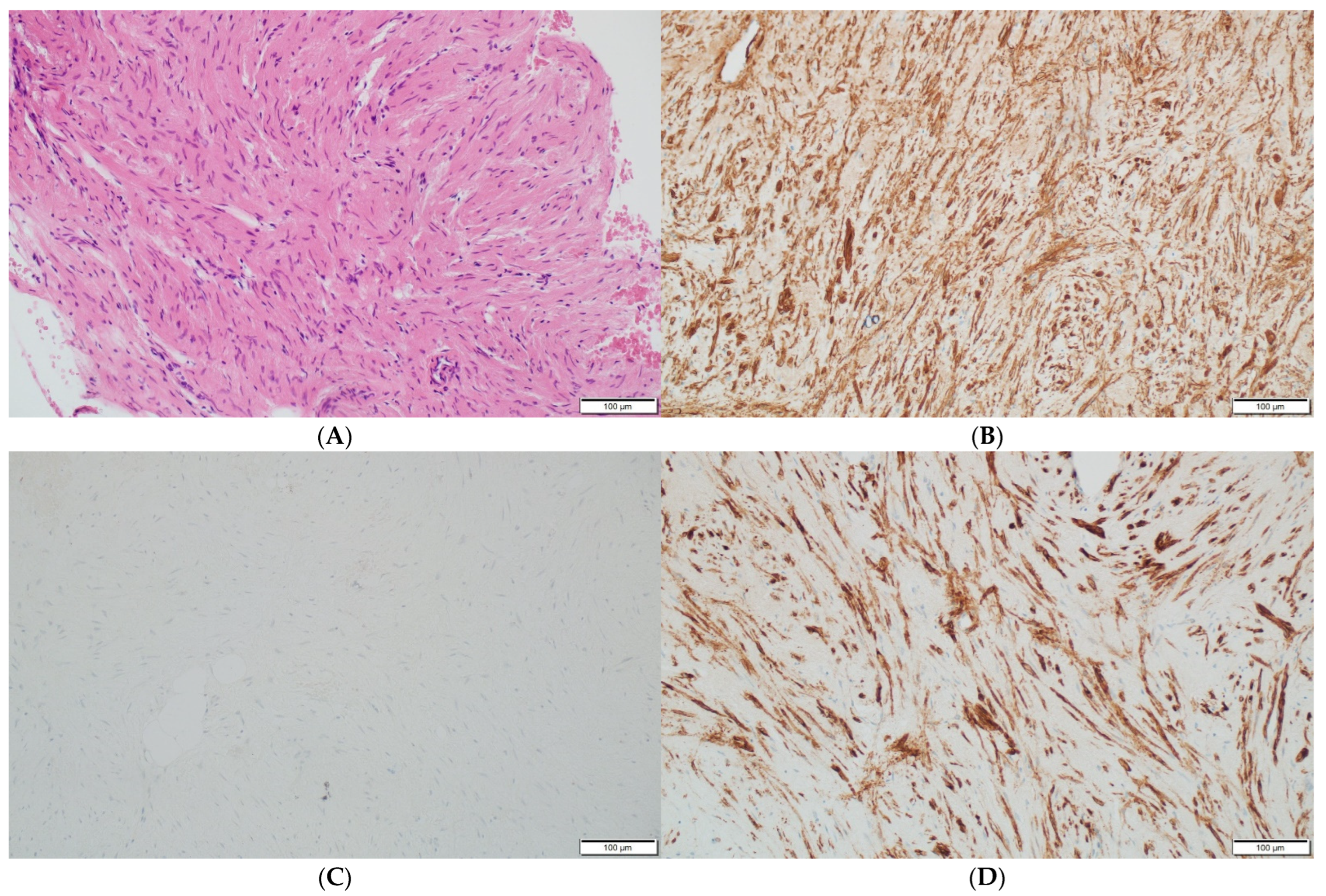 Diagnostics 13 00009 g003