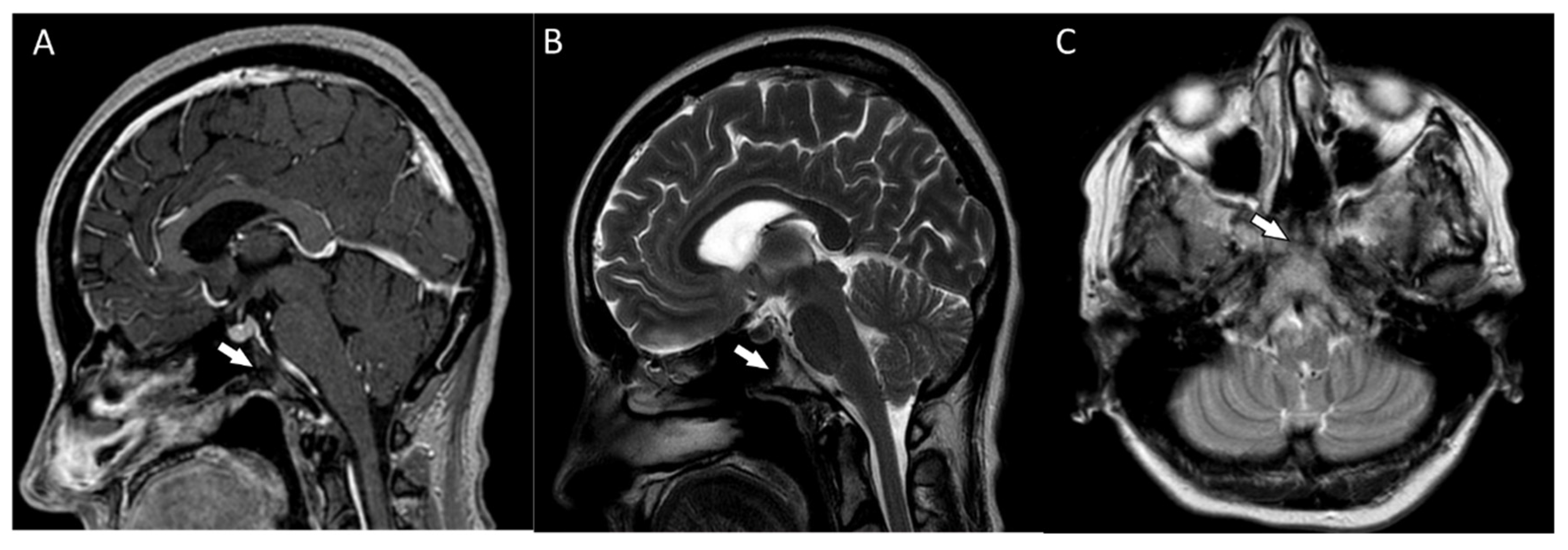 Diagnostics 13 00009 g004