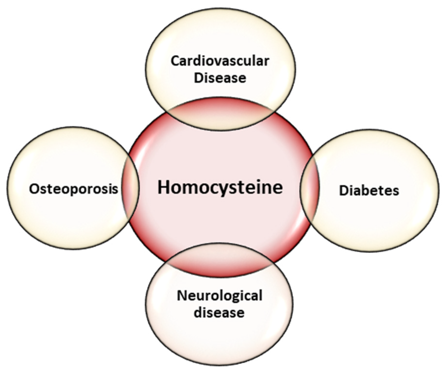 Diagnostics 13 00010 g001