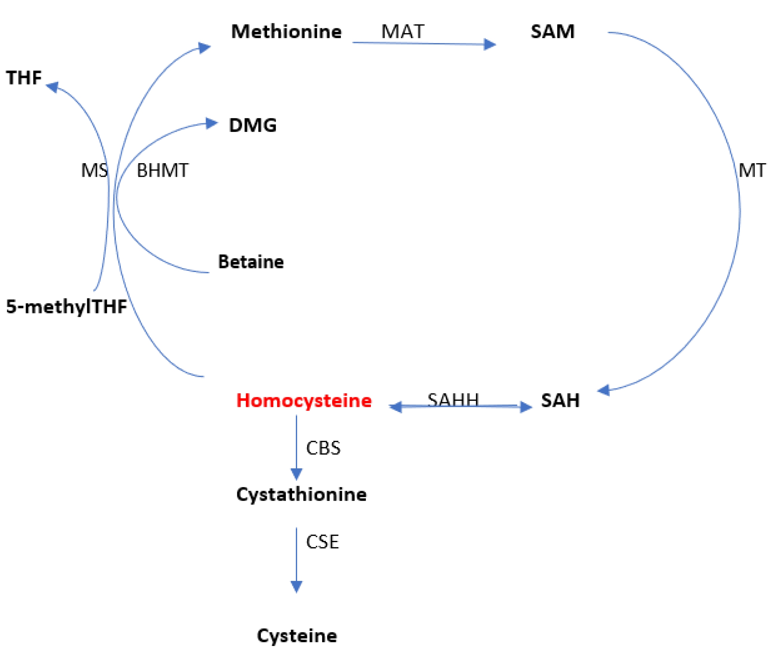 Diagnostics 13 00010 g002