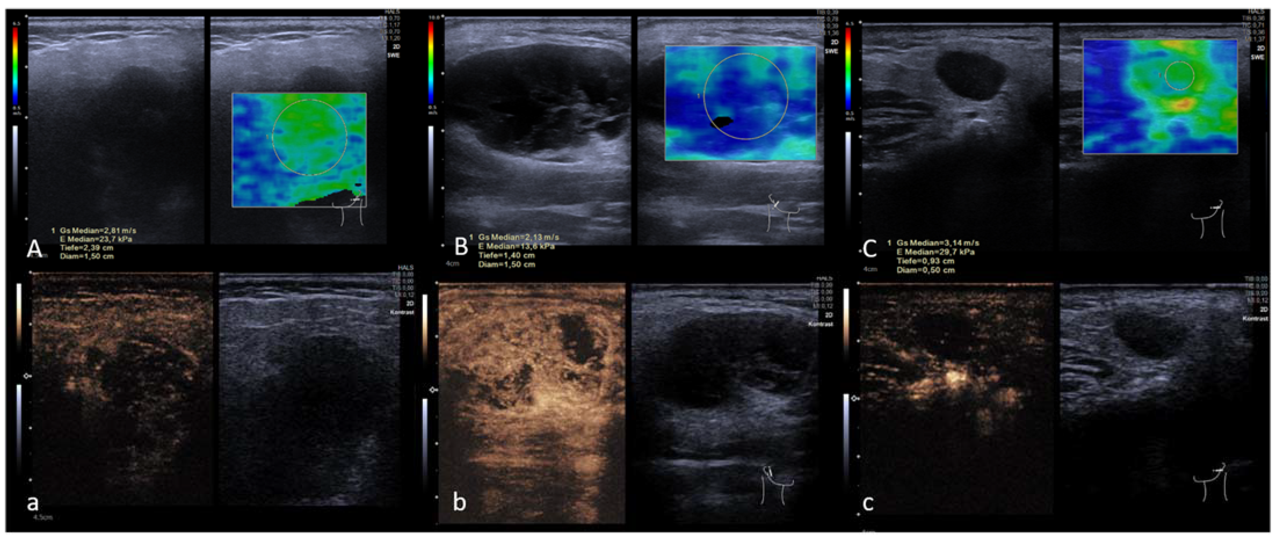Diagnostics 13 00012 g004