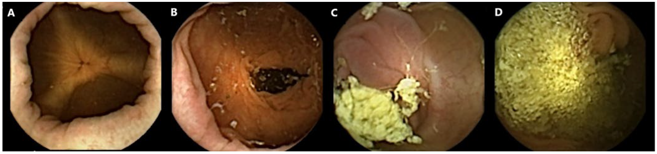 Diagnostics 13 00018 g001