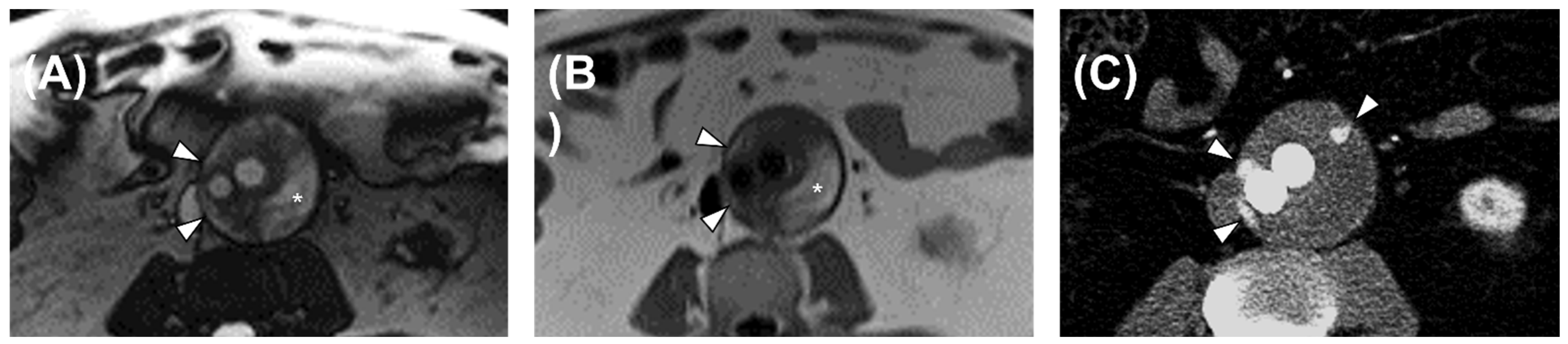 Diagnostics 13 00020 g001 Diagnostics 13 00020 g001