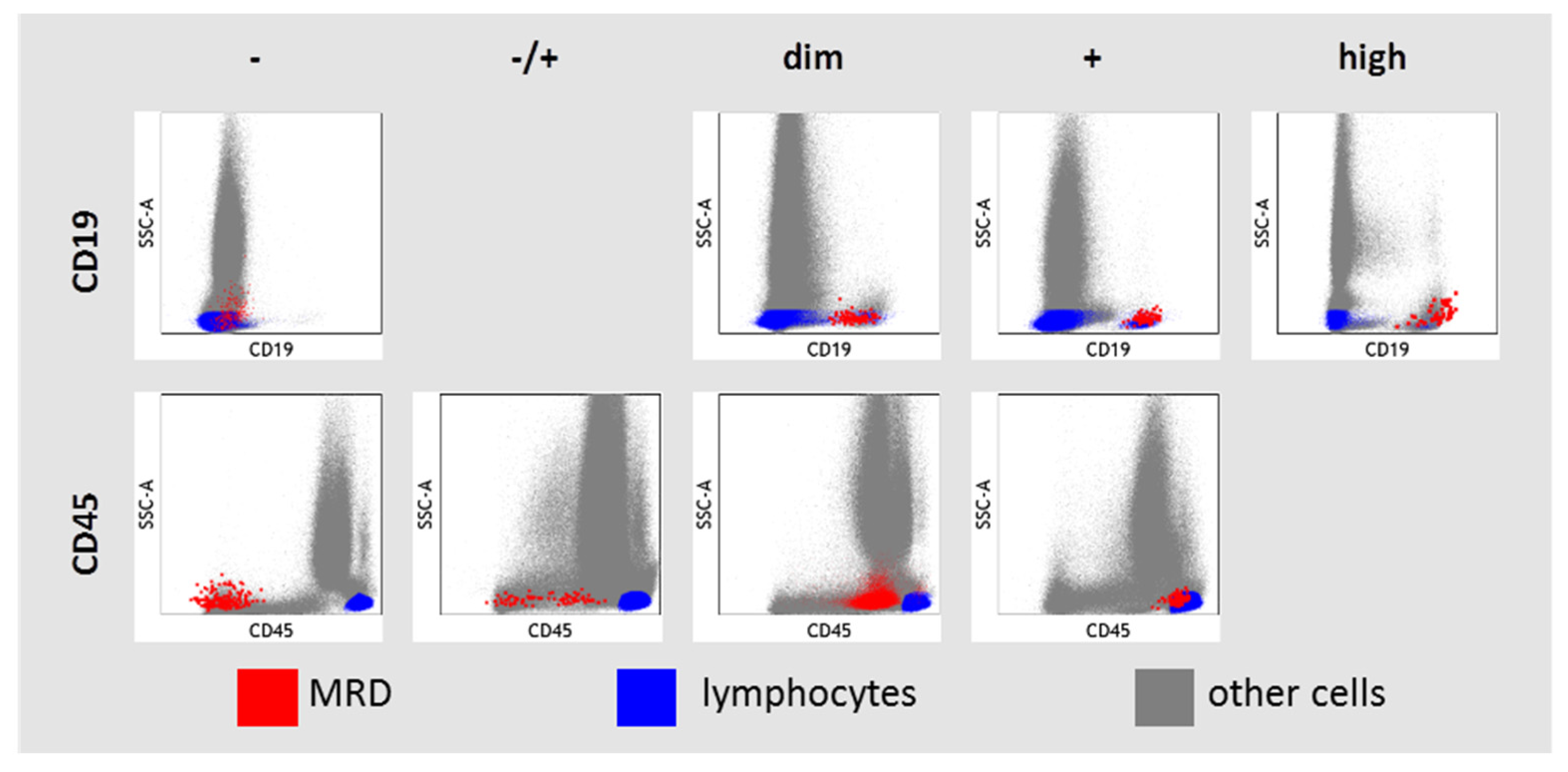 Diagnostics 13 00021 g002