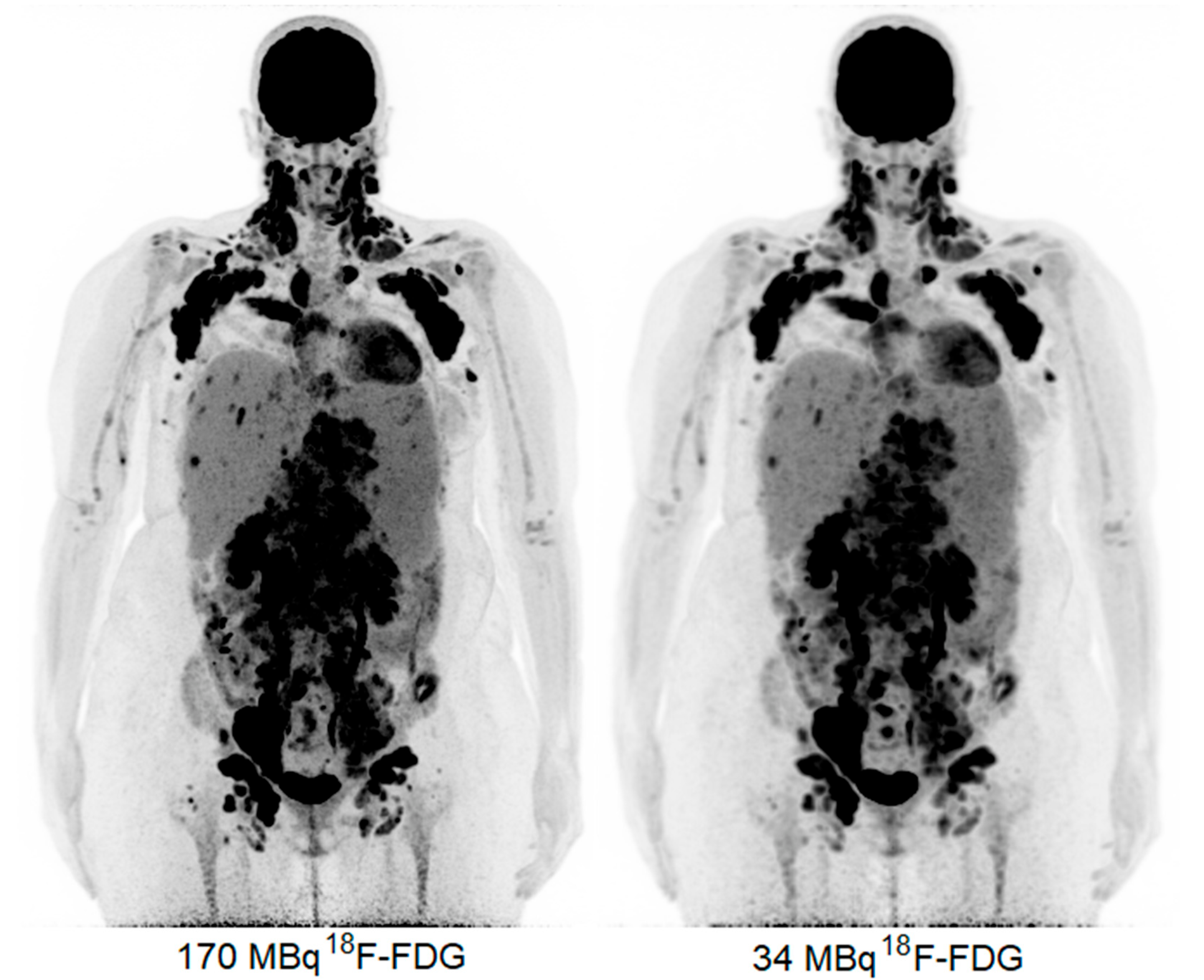 Diagnostics 13 00028 g001
