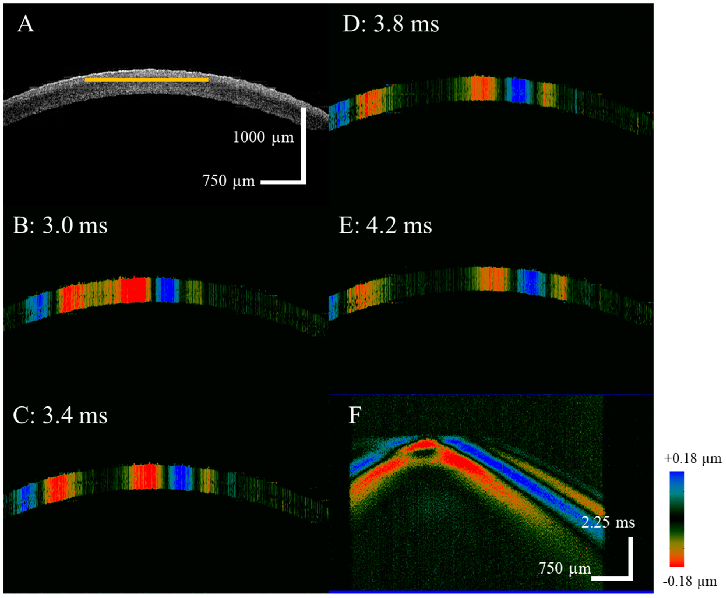 Diagnostics 13 00030 g002 Diagnostics 13 00030 g002