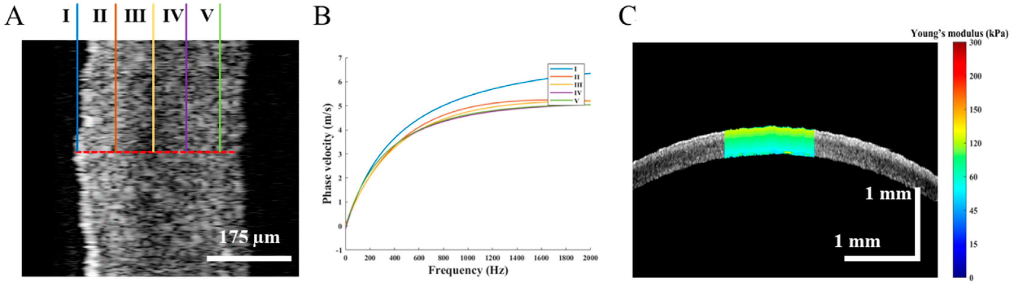 Diagnostics 13 00030 g004 Diagnostics 13 00030 g004