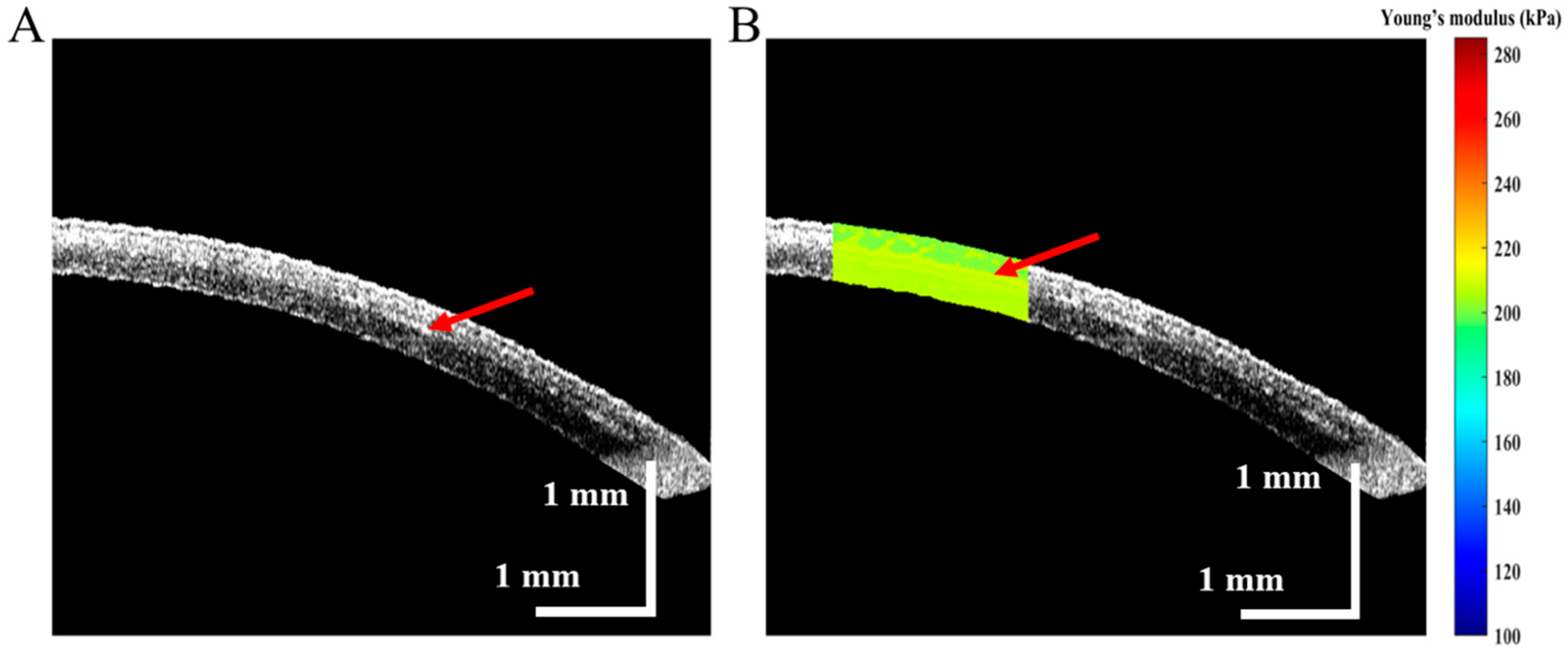 Diagnostics 13 00030 g005 Diagnostics 13 00030 g005