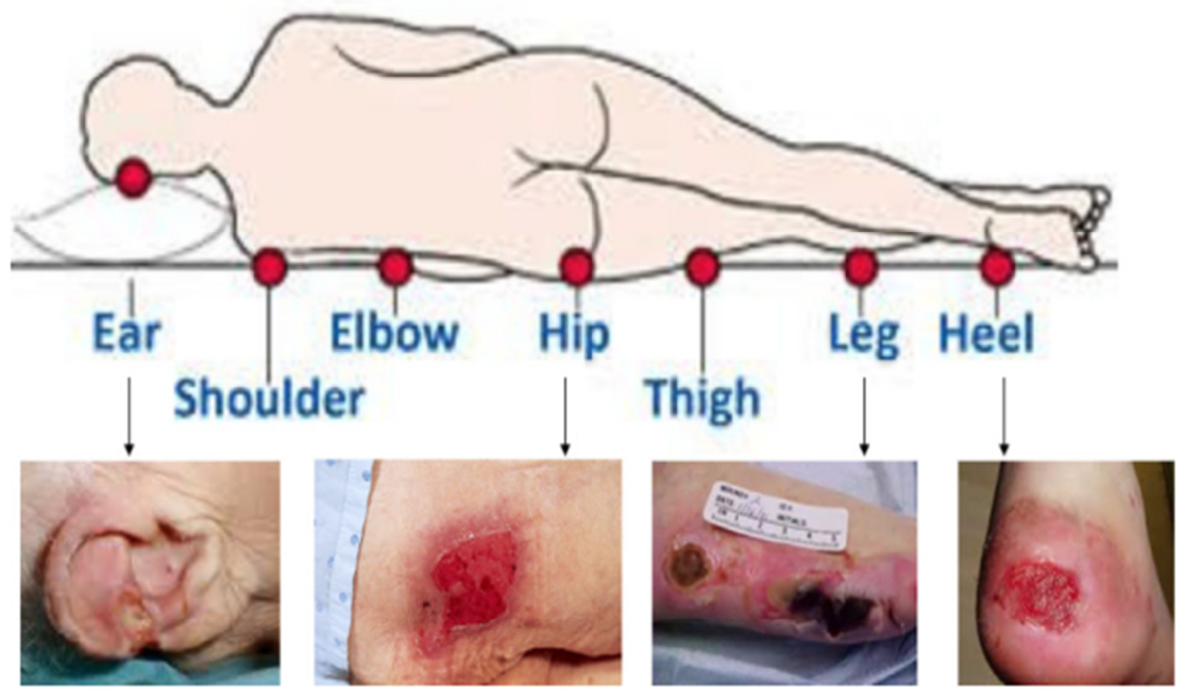 Diagnostics 13 00031 g001
