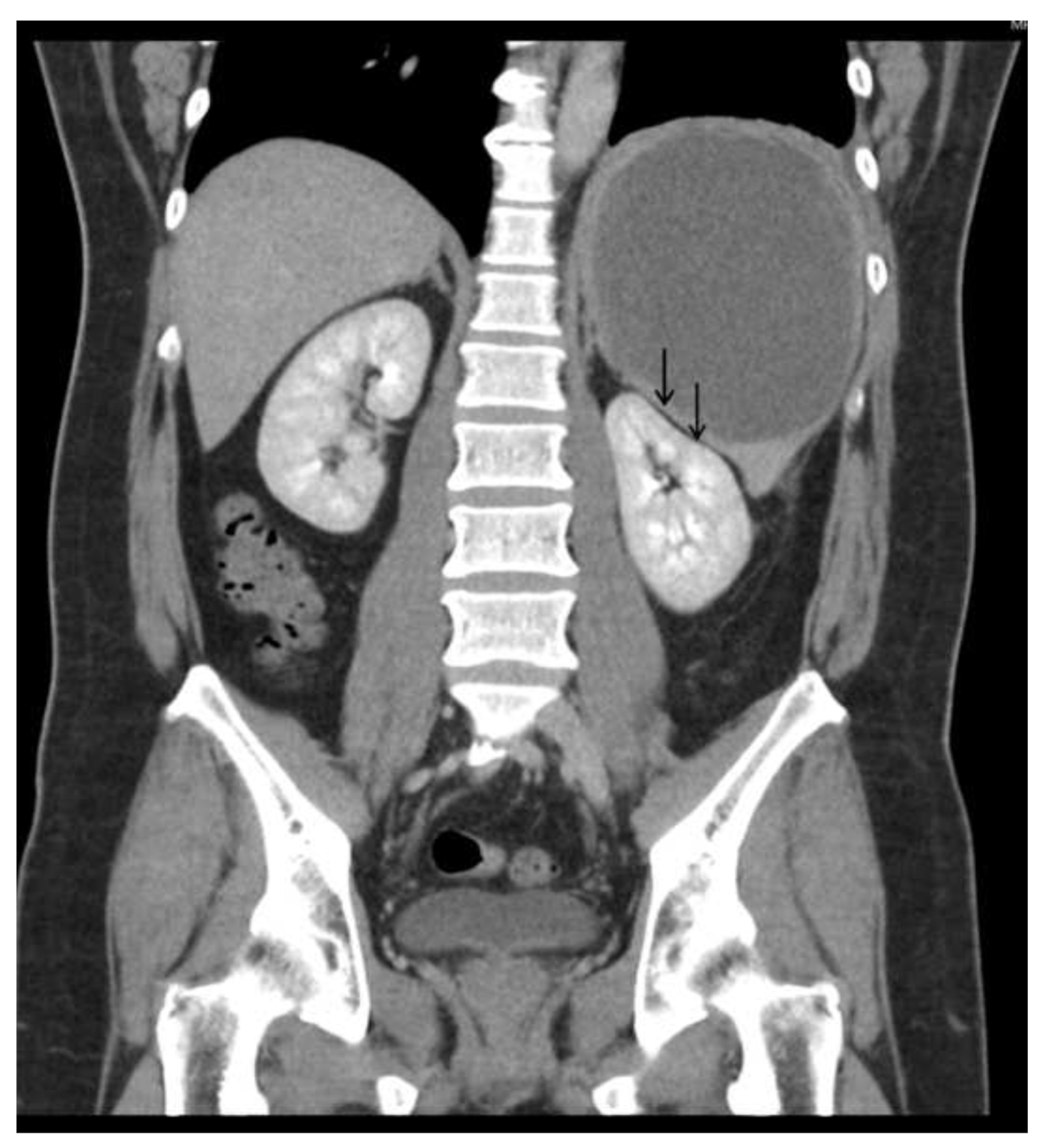 Diagnostics 13 00035 g003