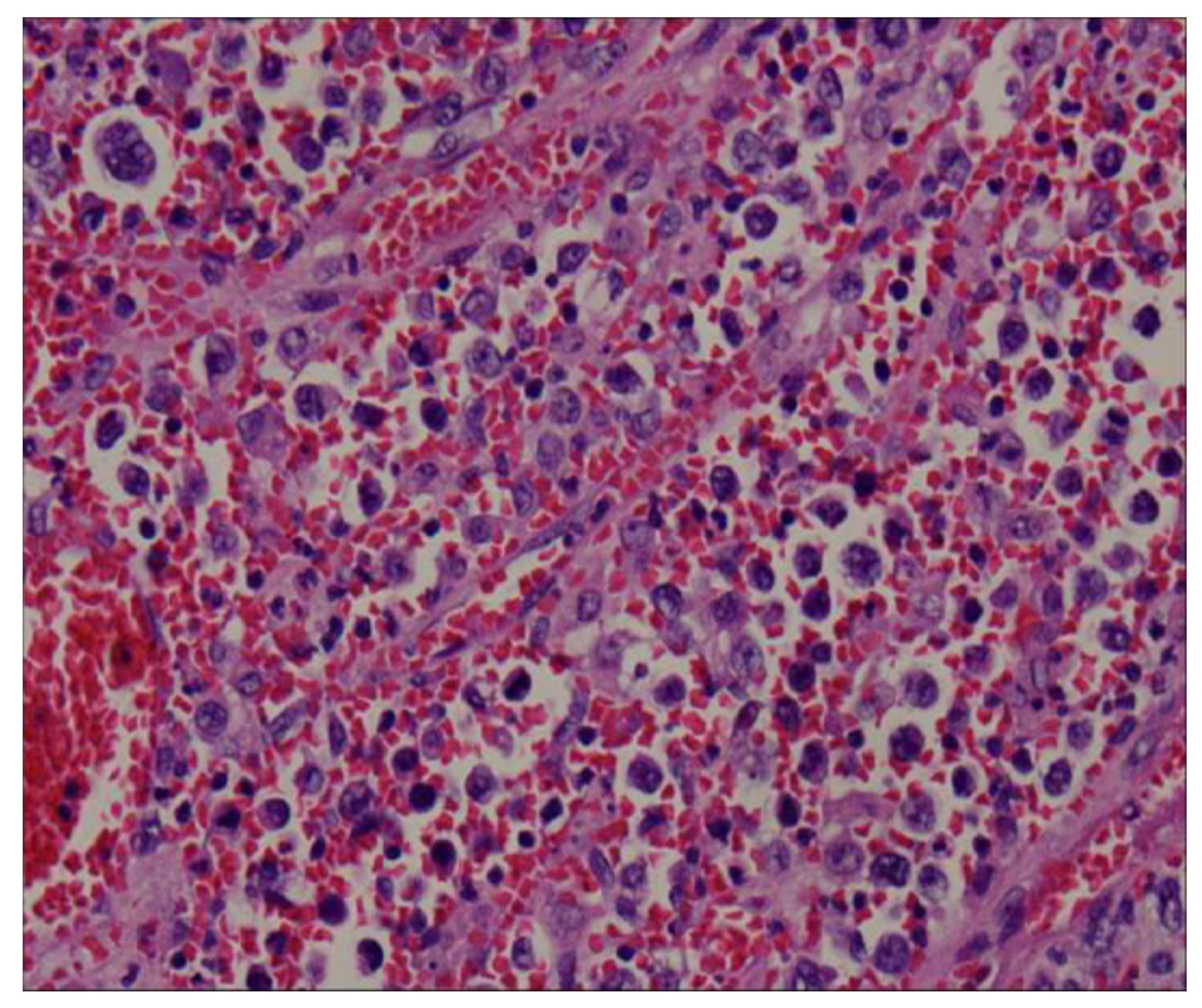 Diagnostics 13 00035 g004